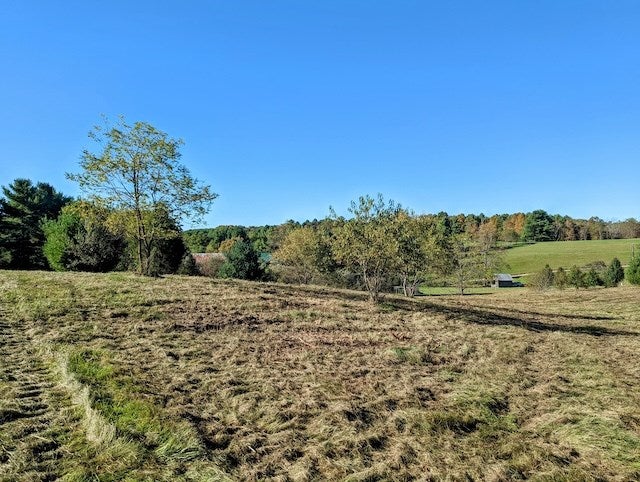 Tbd Tbd Smith Farm Road, Unit 7C Check, VA 24072 - Photo 10 of 15 Gallery Image 10