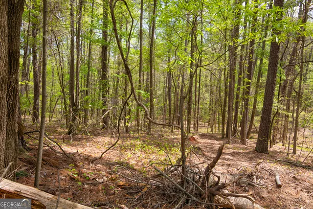 $60,000 | 2178 Hillwood Circle, Conyers, GA 30012