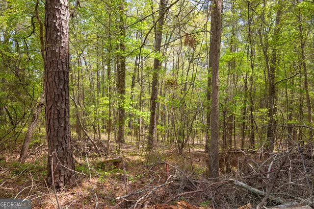 $60,000 | 2178 Hillwood Circle, Conyers, GA 30012