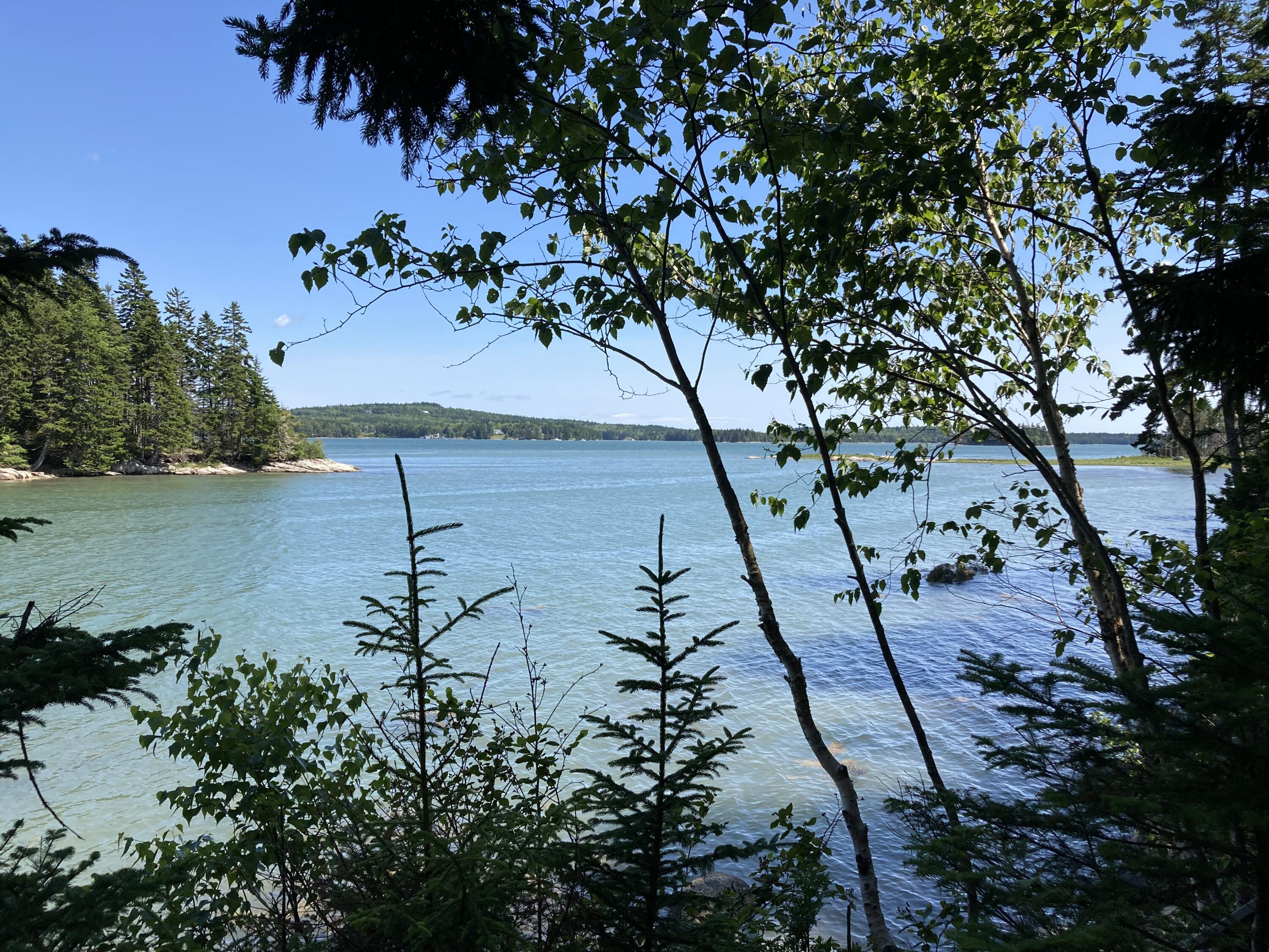 207 Goods Point Road Steuben, ME 04680 - Photo 3 of 56 South, southeast views from house.