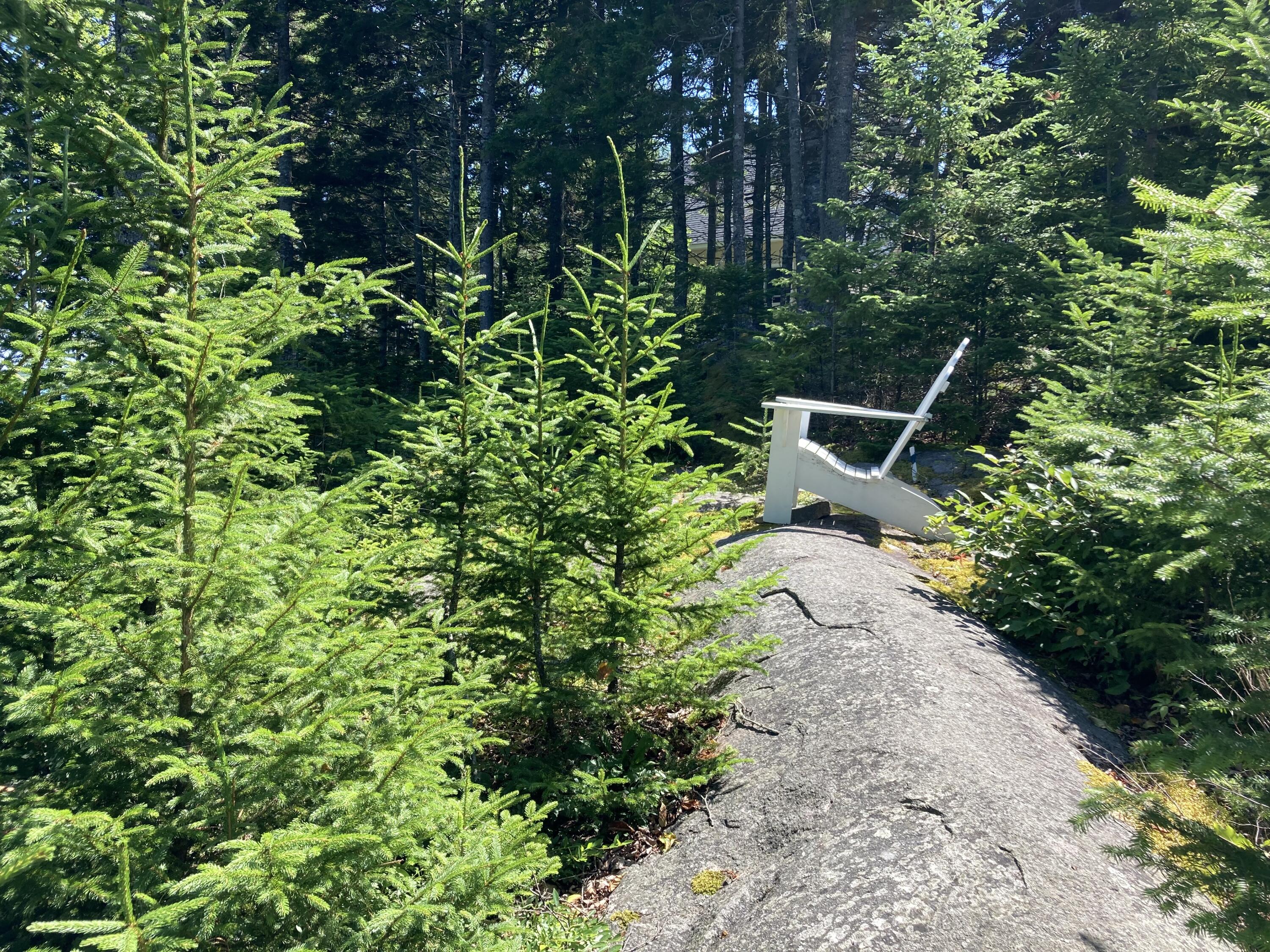 207 Goods Point Road Steuben, ME 04680 - Photo 38 of 56 Path to shore.