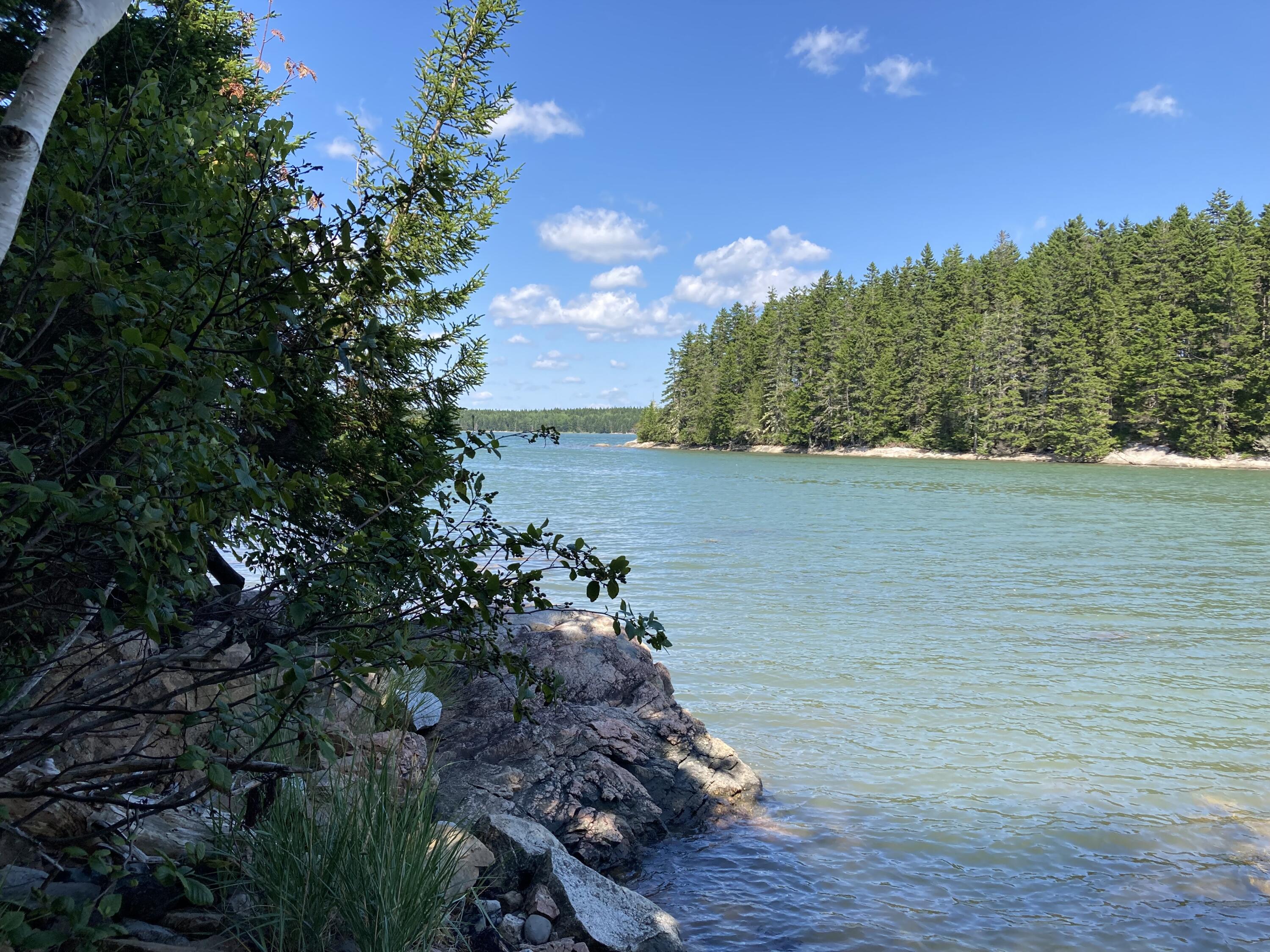 207 Goods Point Road Steuben, ME 04680 - Photo 4 of 56 North view from shore past Pop Is.
