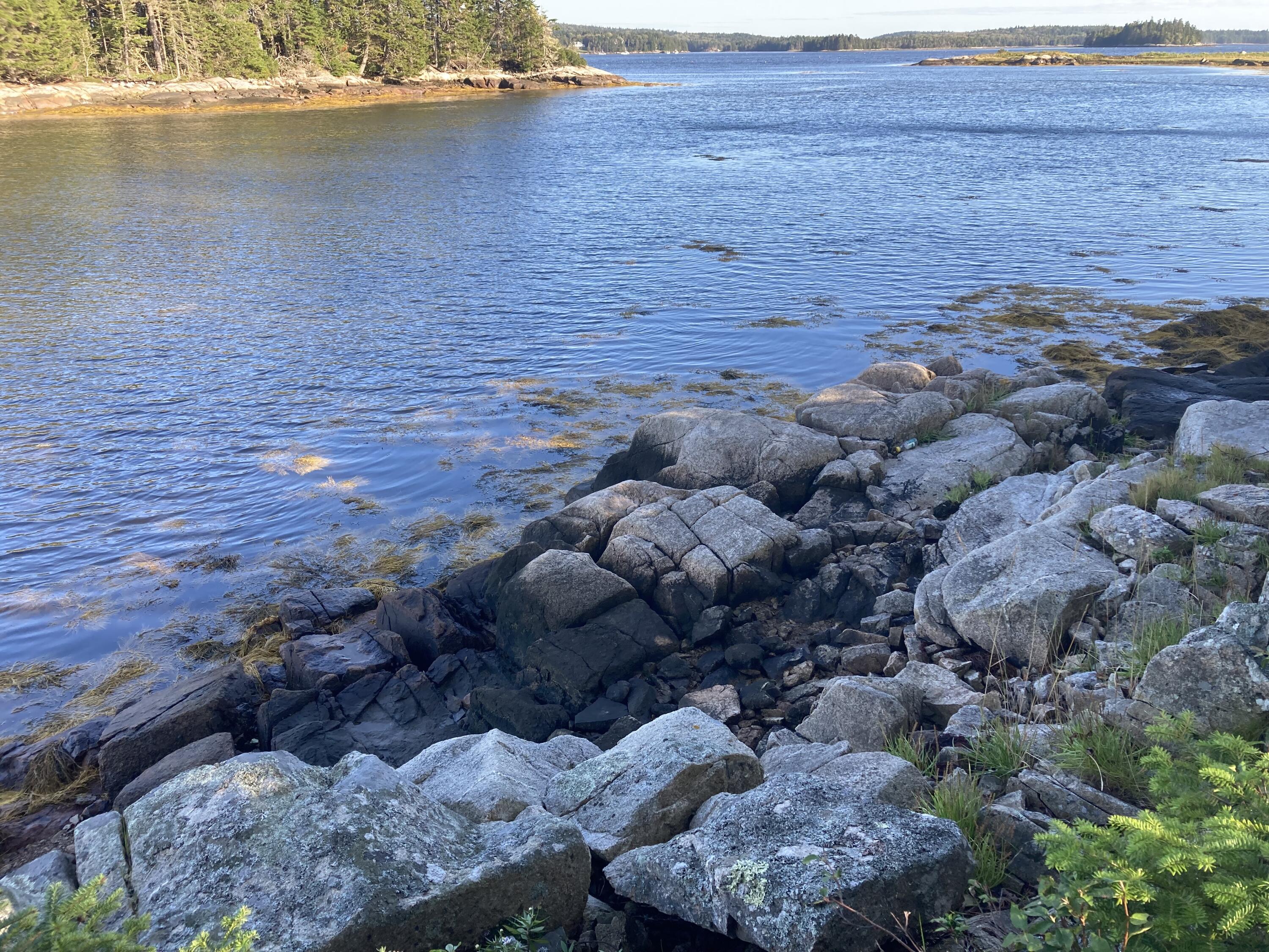 207 Goods Point Road Steuben, ME 04680 - Photo 42 of 56 Shoreline from steps.