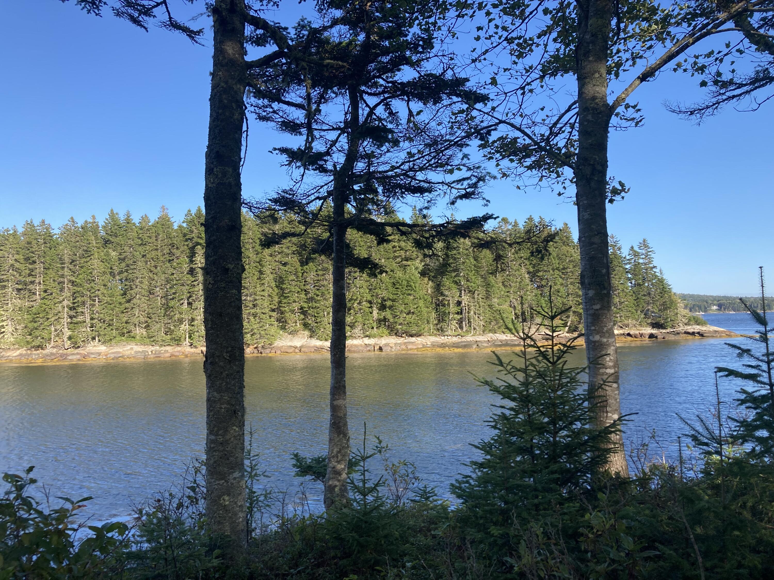 207 Goods Point Road Steuben, ME 04680 - Photo 43 of 56 Pop Island channel.