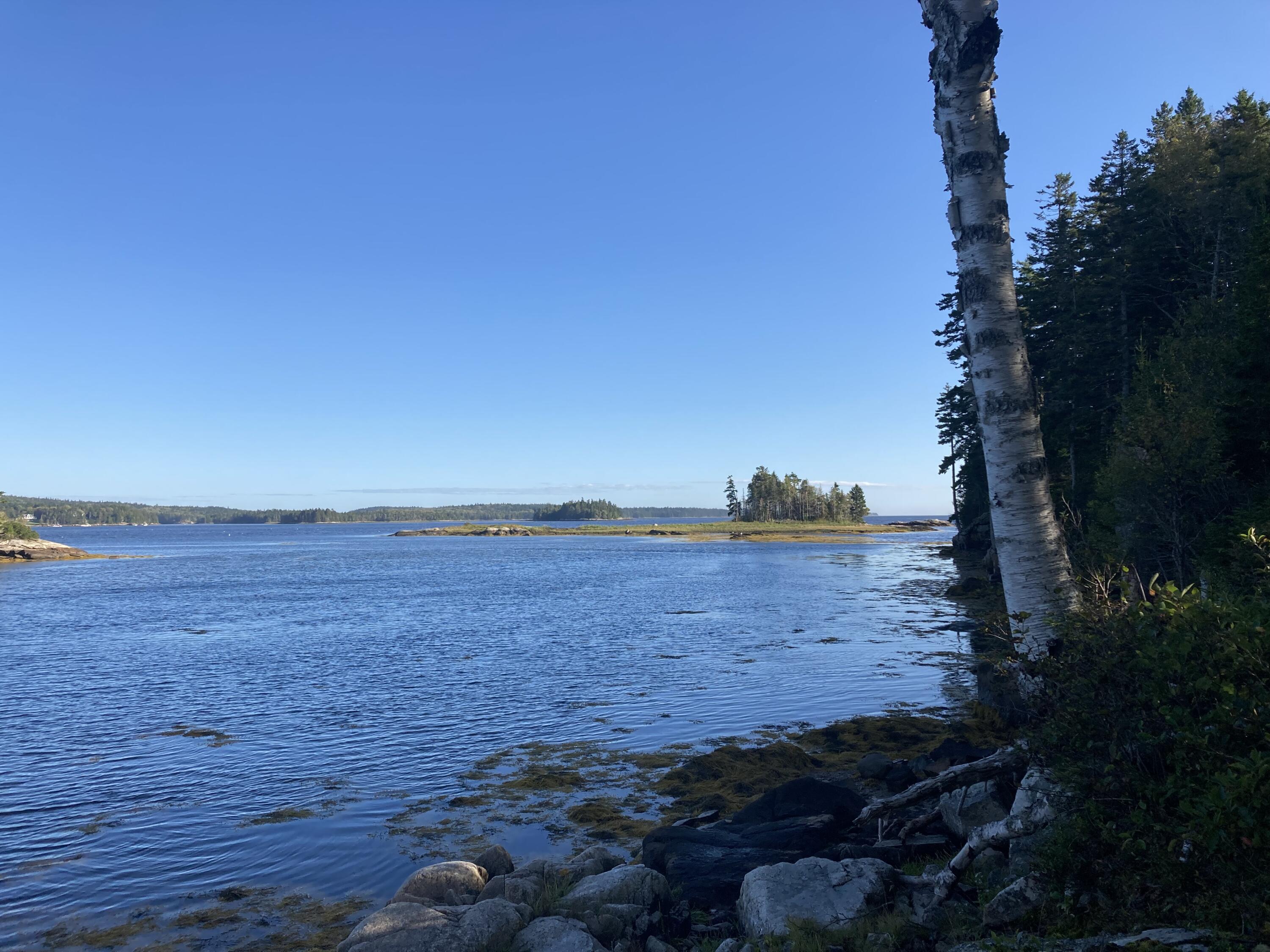 207 Goods Point Road Steuben, ME 04680 - Photo 44 of 56 Southerly looking down Dyer Bay.