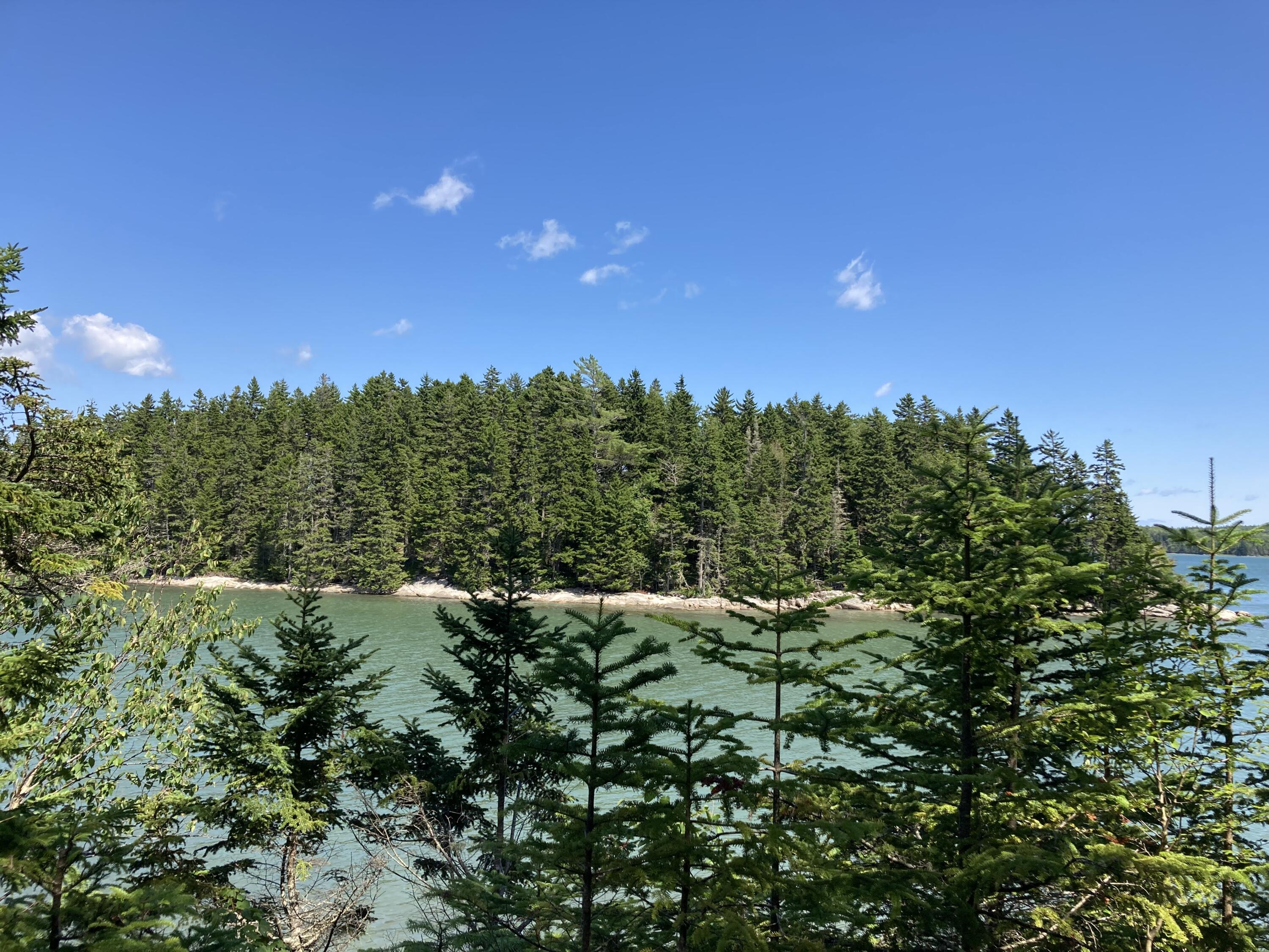 207 Goods Point Road Steuben, ME 04680 - Photo 45 of 56 View from porch.