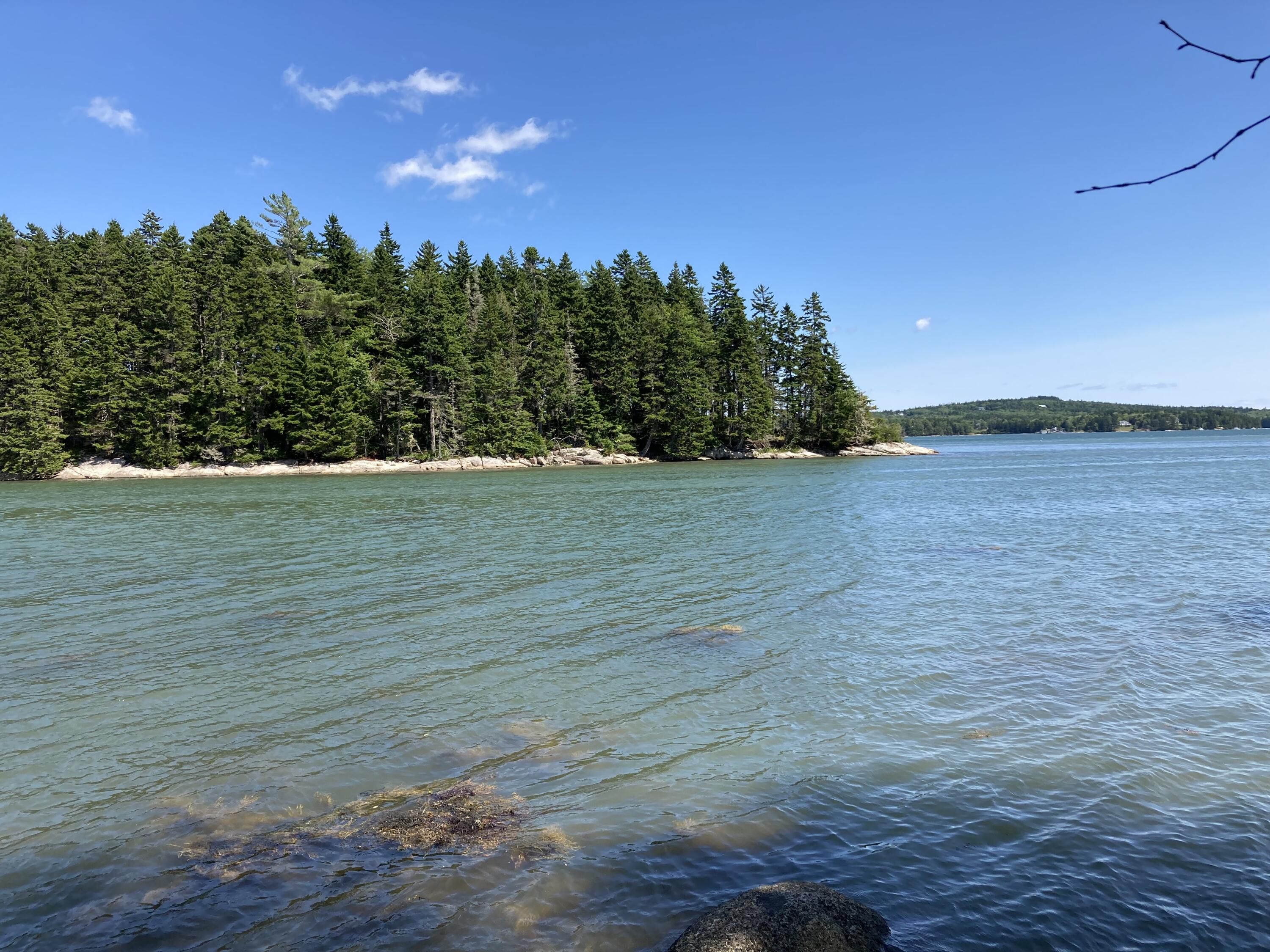 207 Goods Point Road Steuben, ME 04680 - Photo 46 of 56 East, south east views.