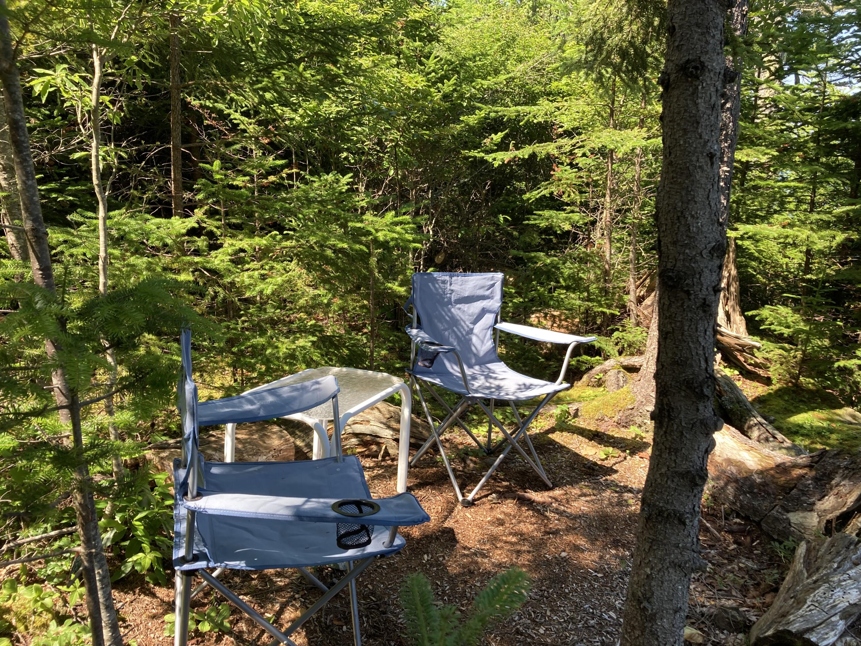 207 Goods Point Road Steuben, ME 04680 - Photo 49 of 56 Sitting area just before beach steps.