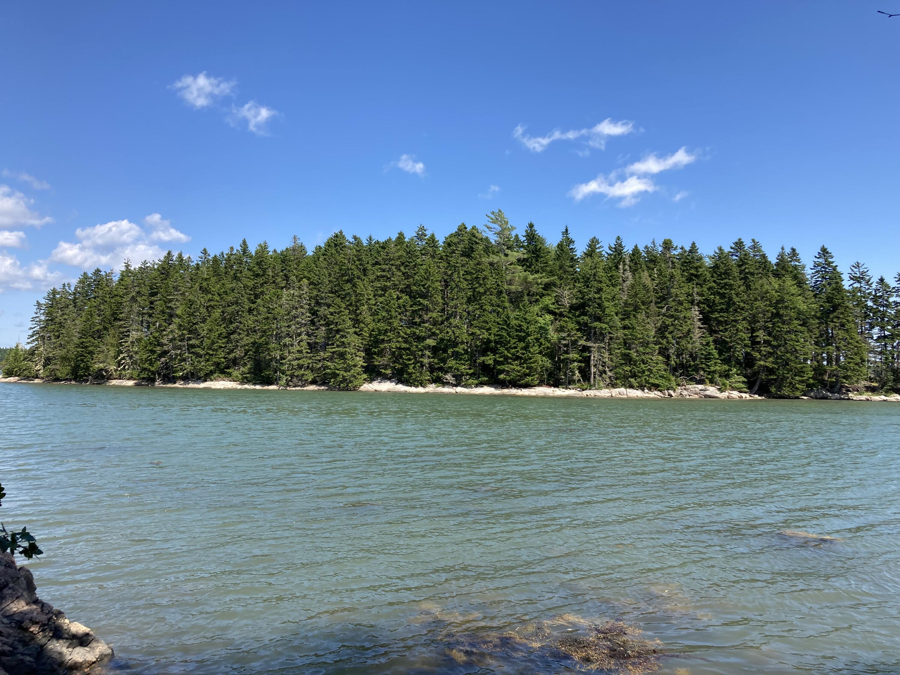 207 Goods Point Road Steuben, ME 04680 - Photo 50 of 56 View from sitting area.