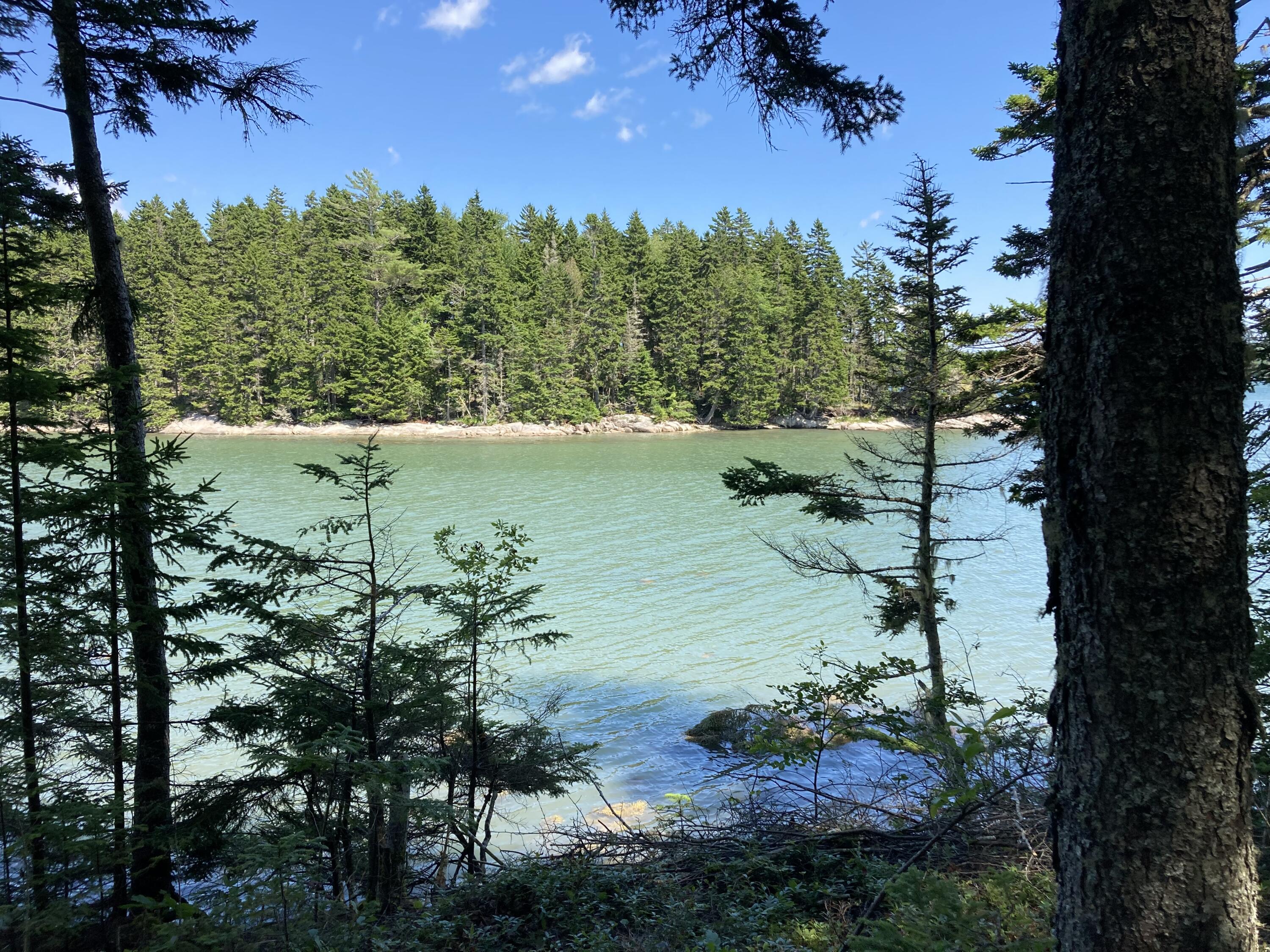 207 Goods Point Road Steuben, ME 04680 - Photo 5 of 56 From shore path.