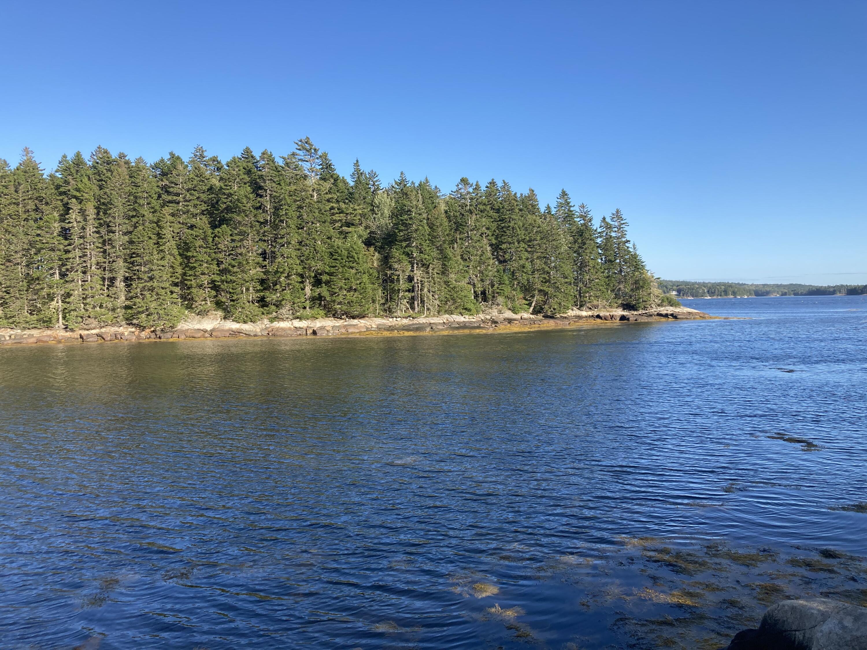 207 Goods Point Road Steuben, ME 04680 - Photo 51 of 56 View from sitting area.