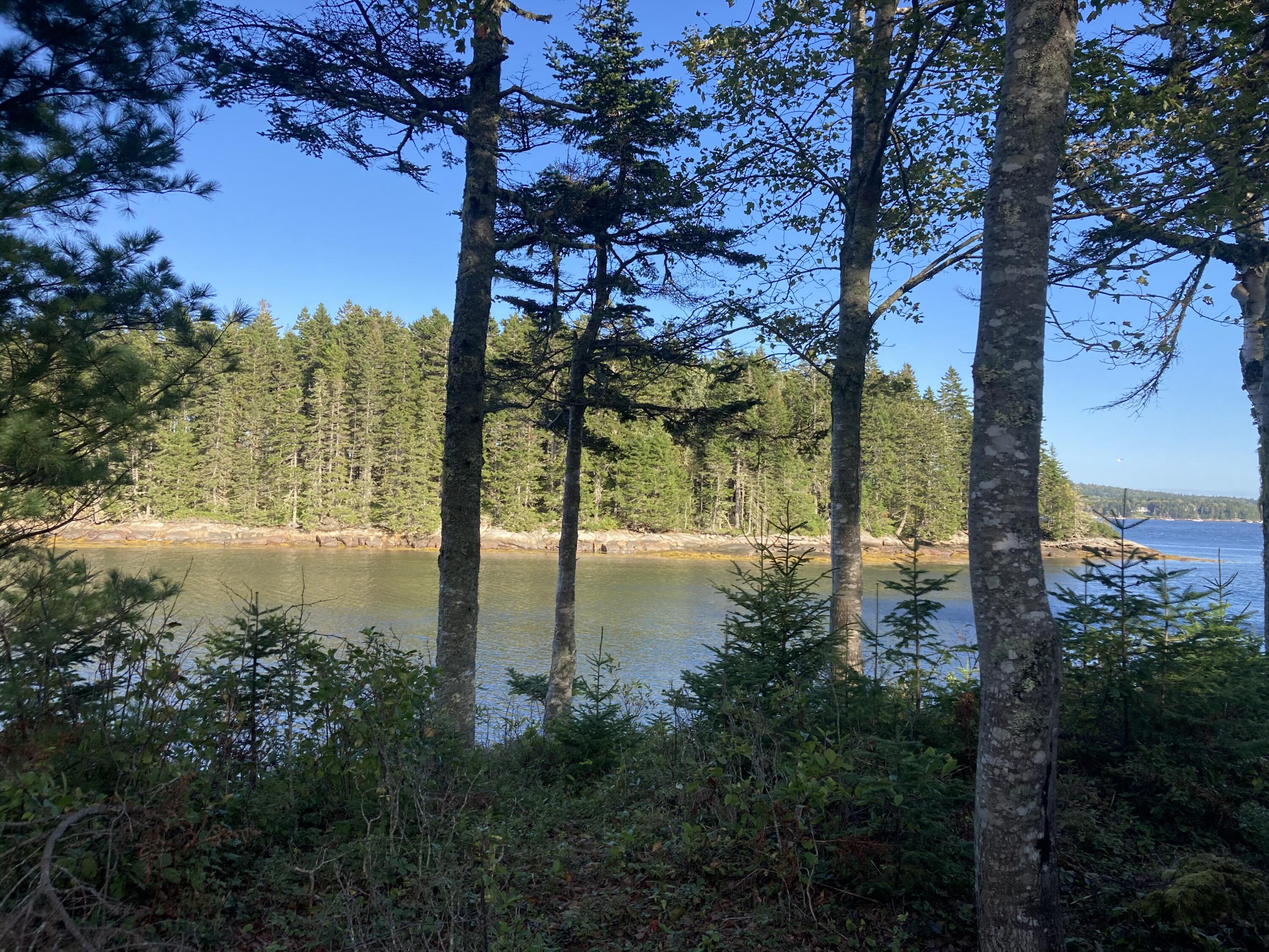 207 Goods Point Road Steuben, ME 04680 - Photo 52 of 56 Through the trees to Pop Island.