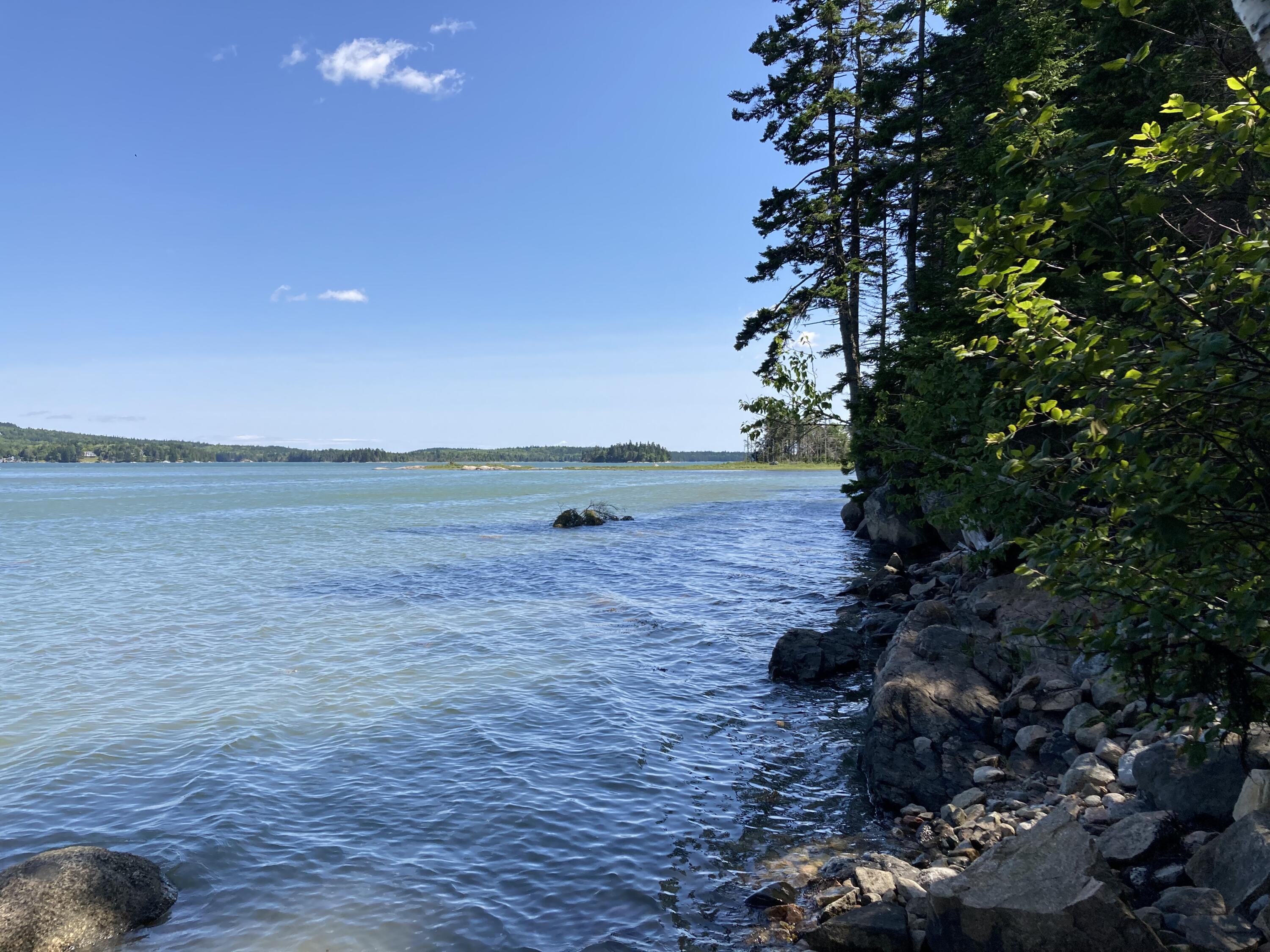 207 Goods Point Road Steuben, ME 04680 - Photo 53 of 56 Down the bay.