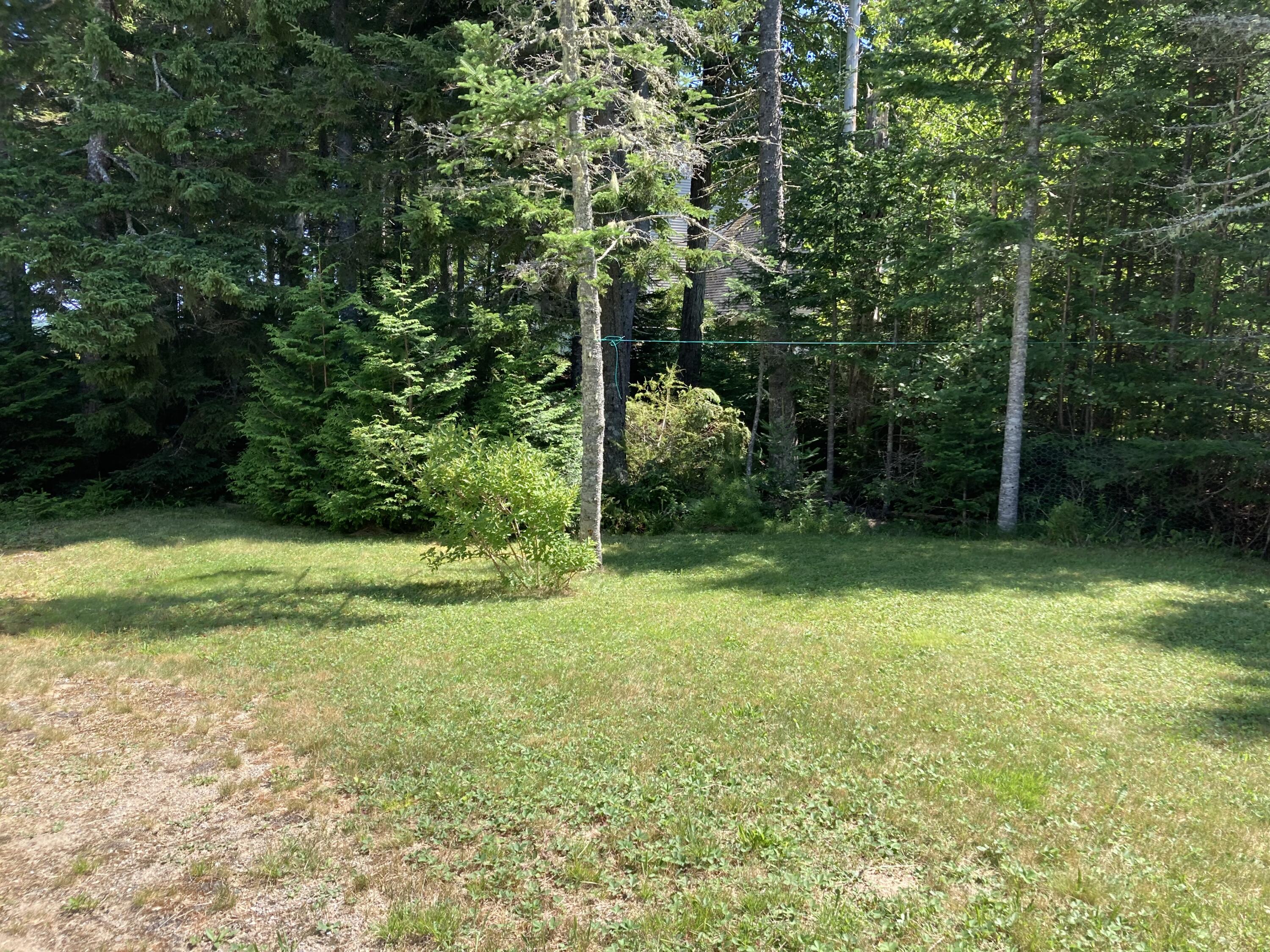 207 Goods Point Road Steuben, ME 04680 - Photo 55 of 56 West yard.