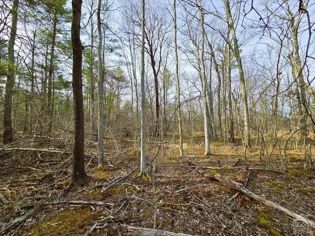 a view of outdoor space with trees