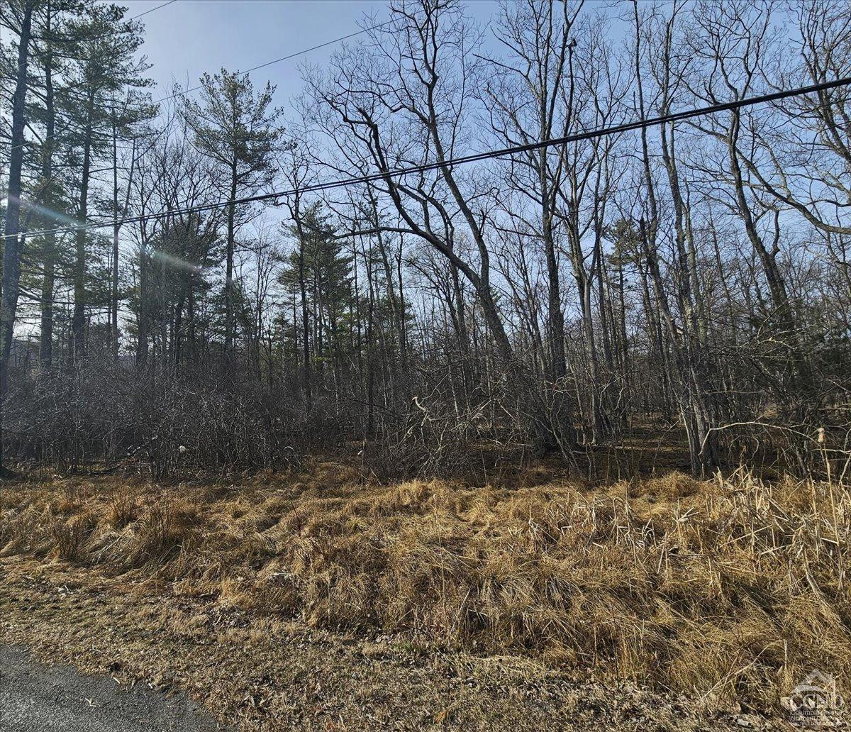 0 Stone Mountain Road Cairo, NY 12413 - Photo 13 of 22 a view of a yard