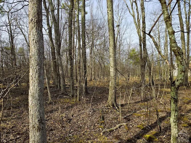 a backyard of a house with lots of tall trees