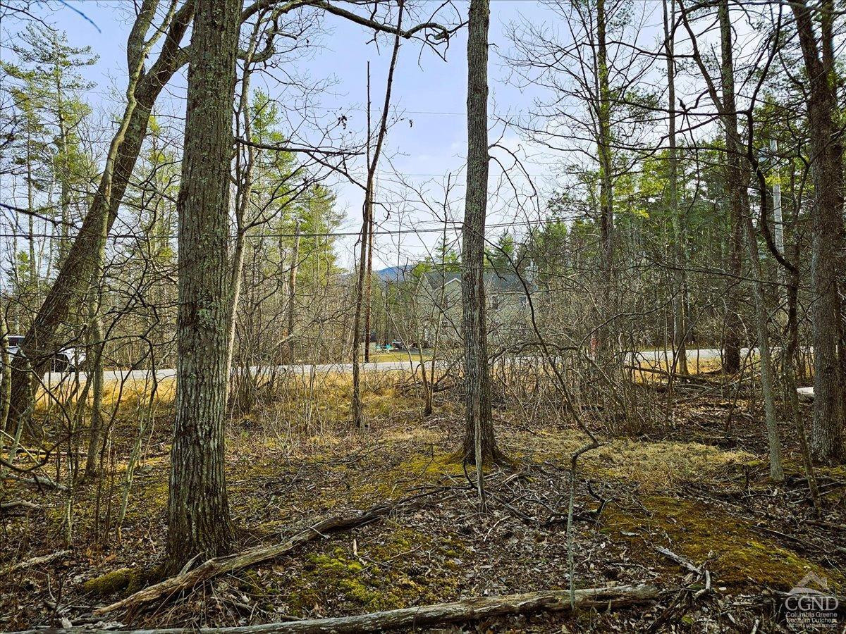 0 Stone Mountain Road Cairo, NY 12413 - Photo 15 of 22 a backyard of a house with lots of green space
