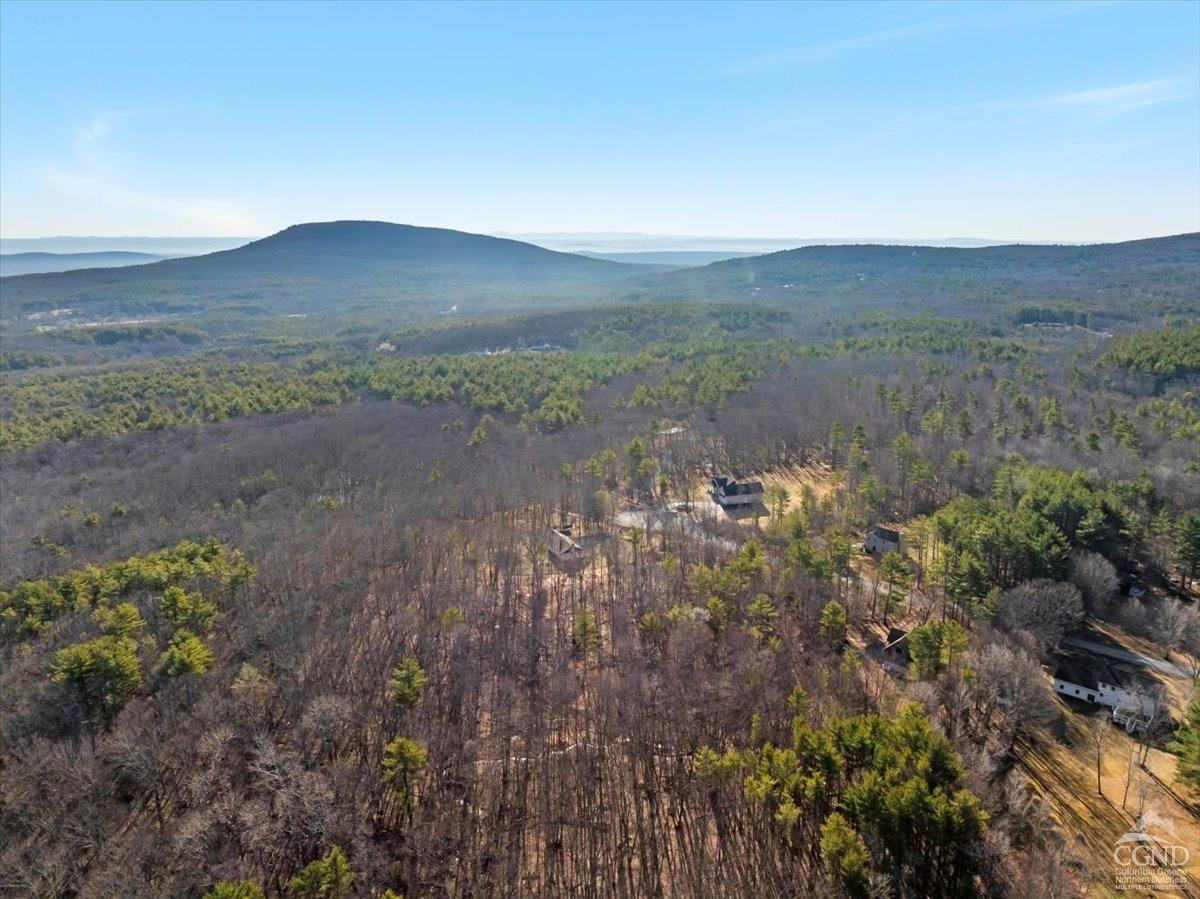 0 Stone Mountain Road Cairo, NY 12413 - Photo 17 of 22 a view of a yard with a sink