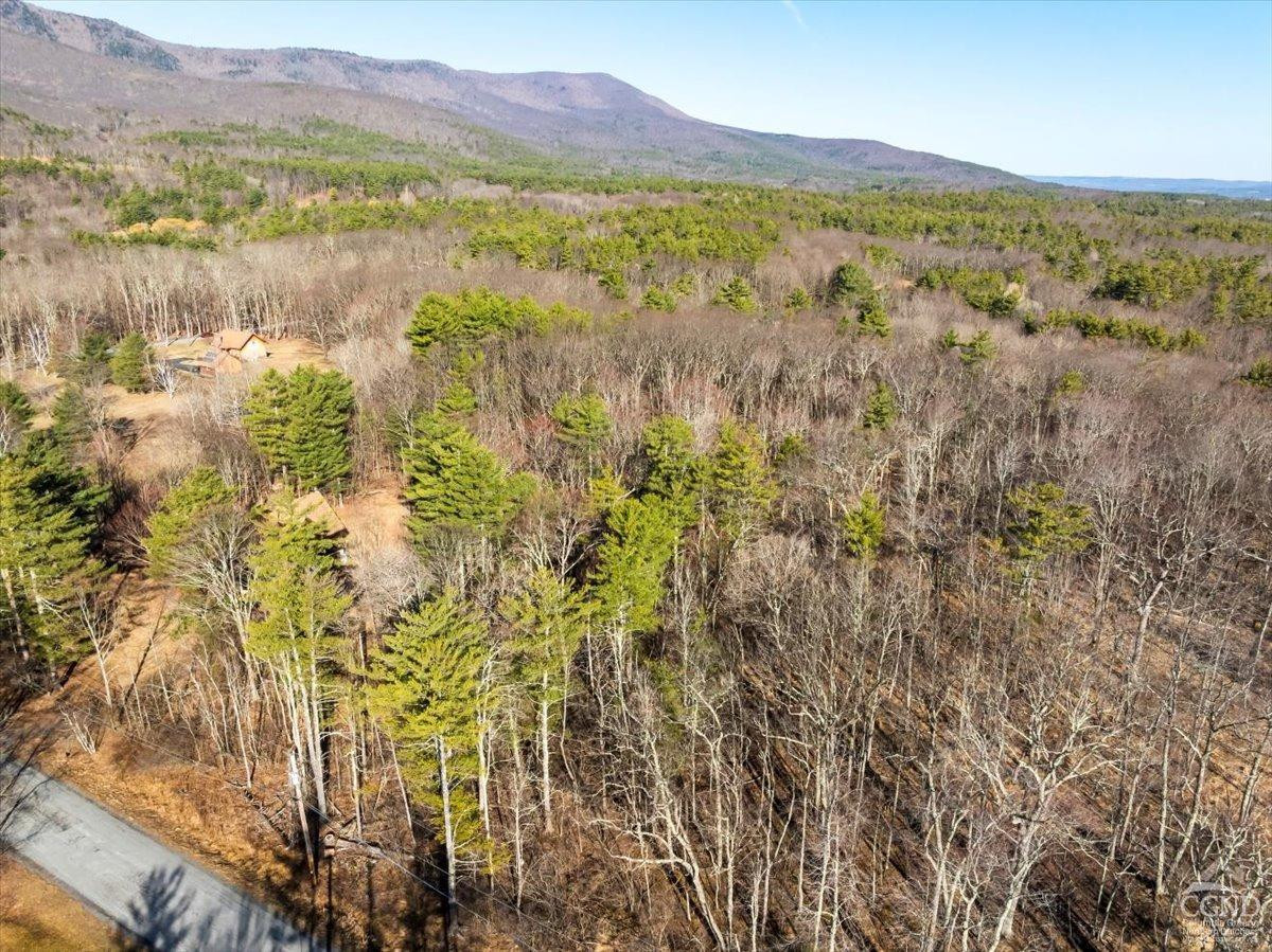 0 Stone Mountain Road Cairo, NY 12413 - Photo 22 of 22 a view of lake and mountain