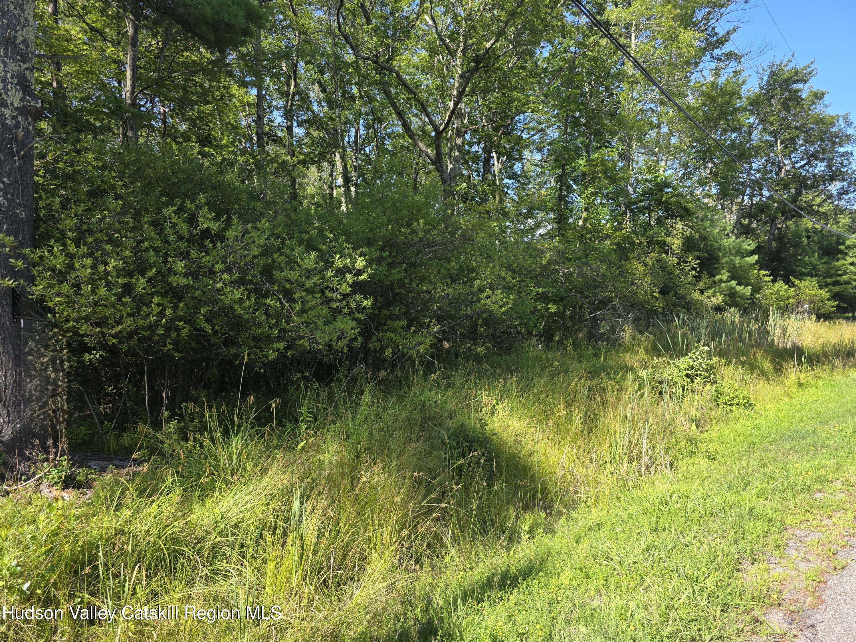 0 Stone Mountain Road Cairo, NY 12413 - Photo 3 of 22 a view of a lake view with a tree