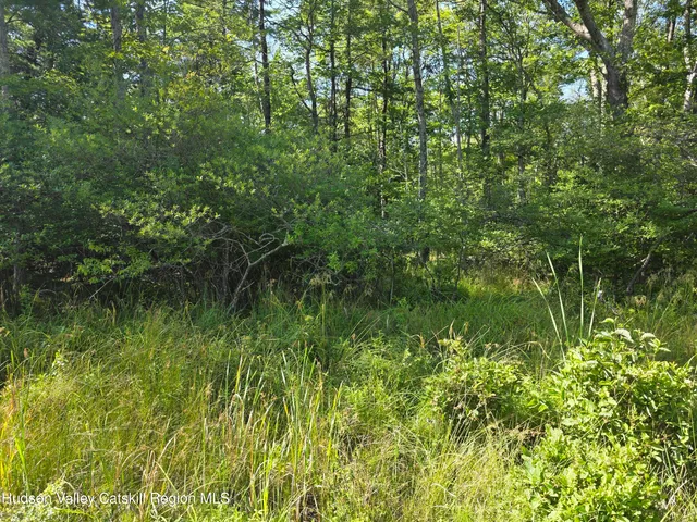 a view of a lake view