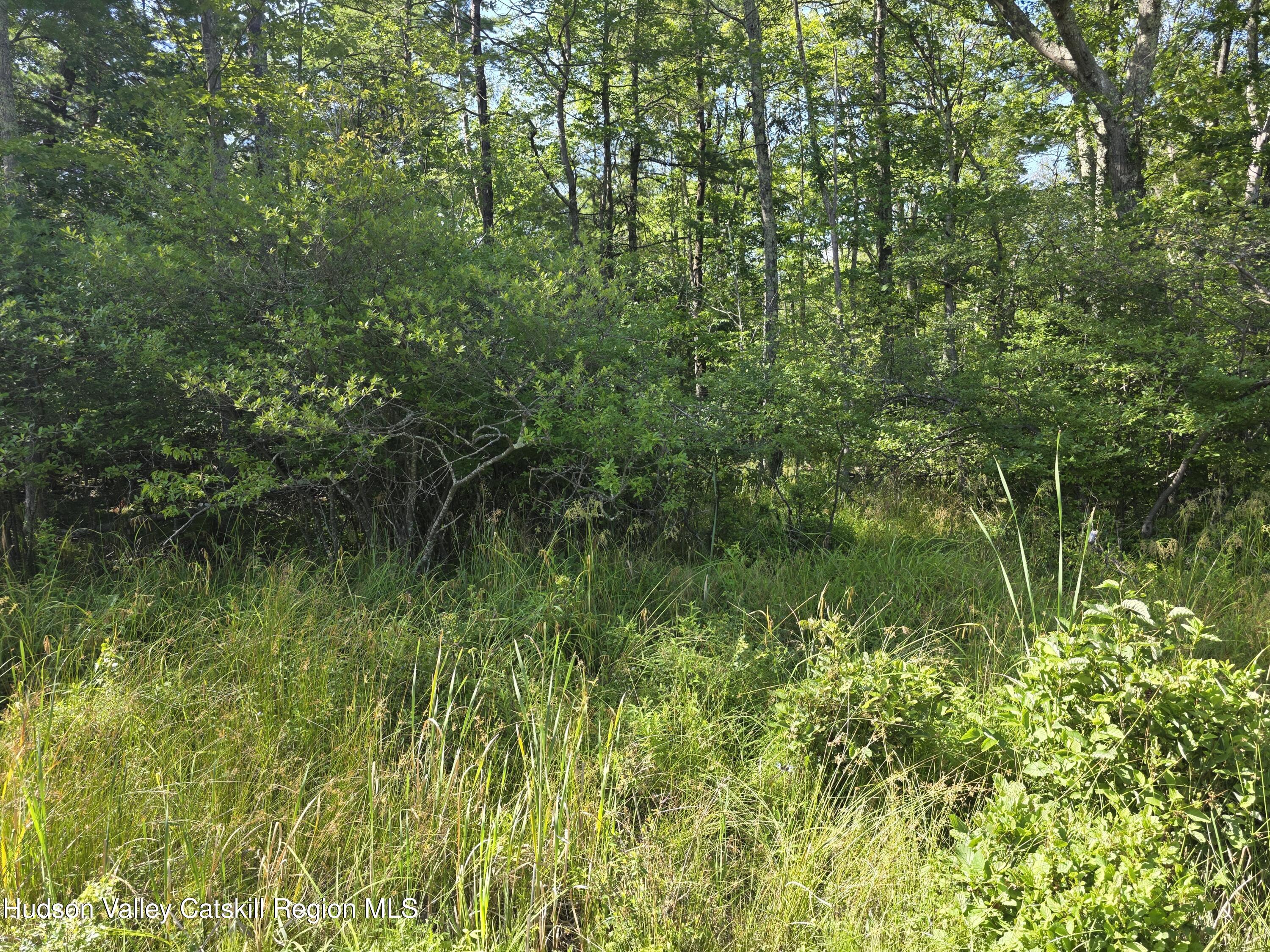 0 Stone Mountain Road Cairo, NY 12413 - Photo 6 of 22 a view of a lake view