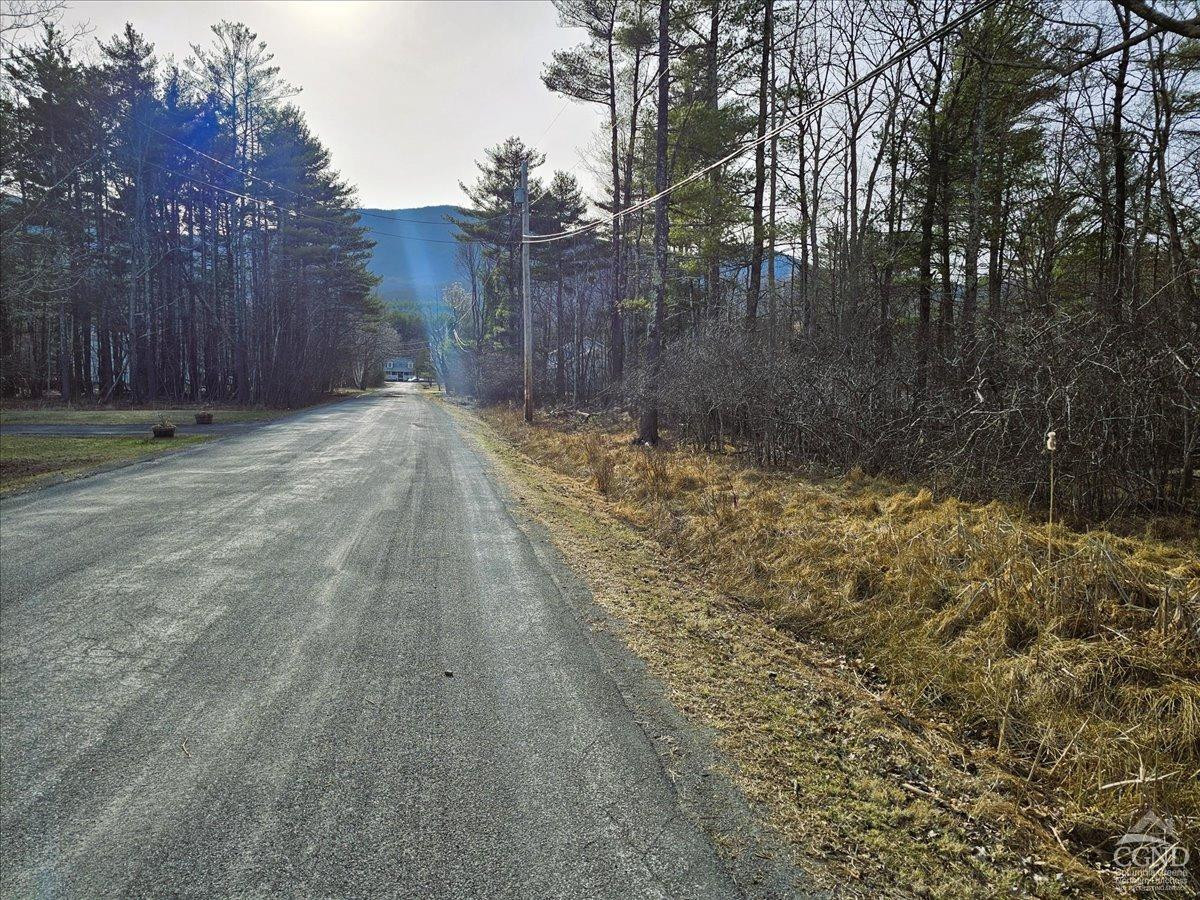 0 Stone Mountain Road Cairo, NY 12413 - Photo 7 of 22 a view of a yard with trees