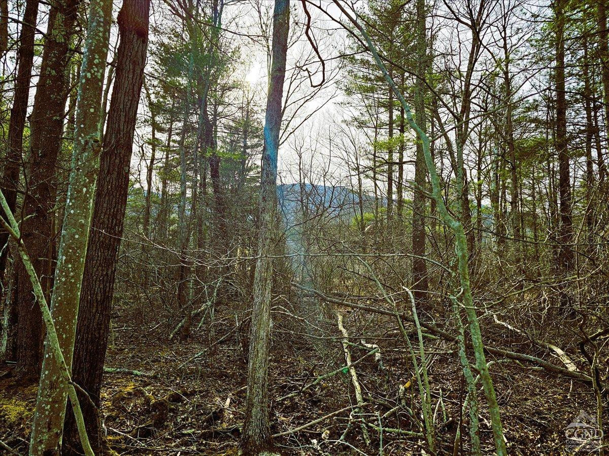 0 Stone Mountain Road Cairo, NY 12413 - Photo 9 of 22 a view of a door and trees