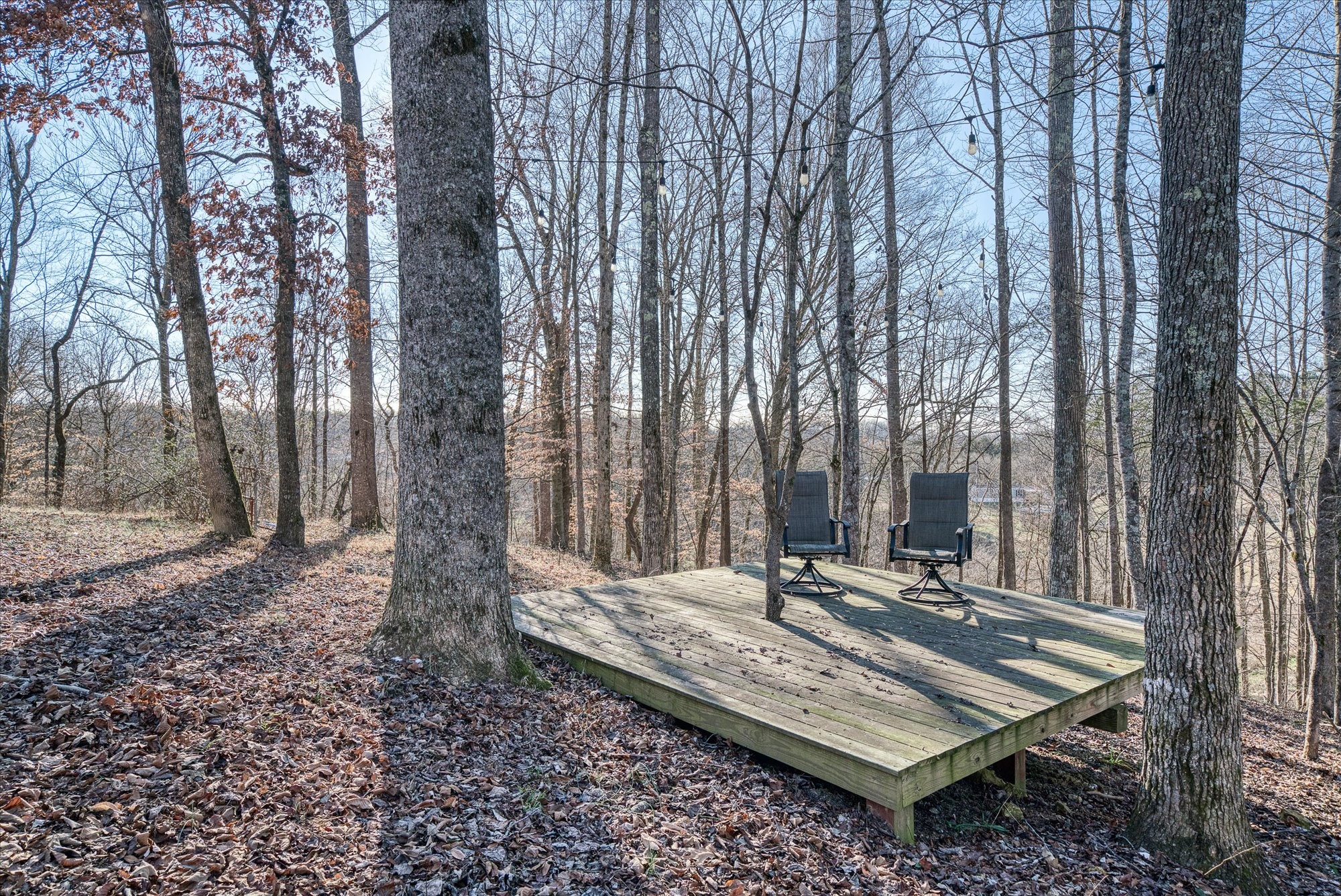 1811 Pollard Road Walling, TN 38587 - Photo 14 of 34 Gallery Image 14