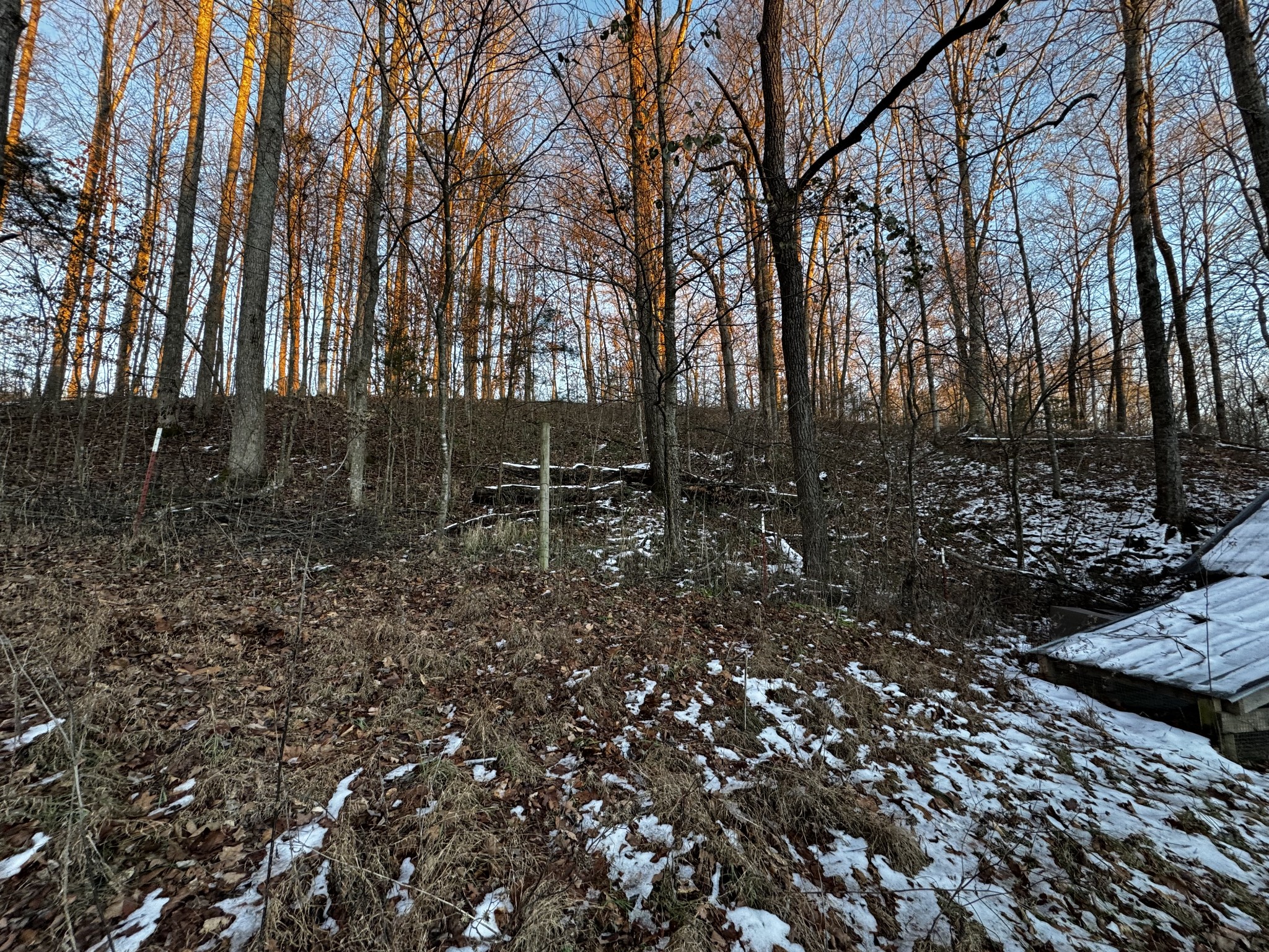 1811 Pollard Road Walling, TN 38587 - Photo 29 of 34 Gallery Image 29