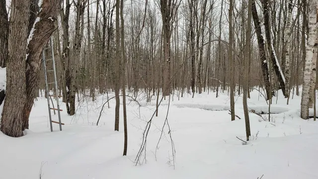 $90,000 | N2534 West Knox Road, Brantwood, WI 54513