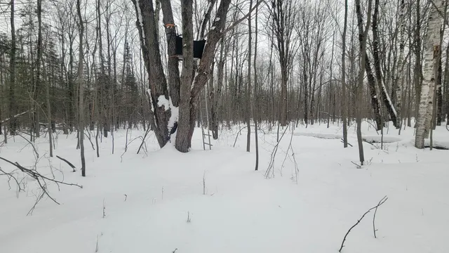 $90,000 | N2534 West Knox Road, Brantwood, WI 54513