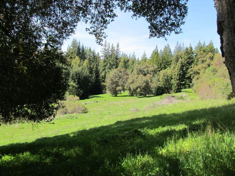 0 Two Two Bar Road Boulder Creek, CA 95006 - Photo 3 of 70 Gallery Image 3