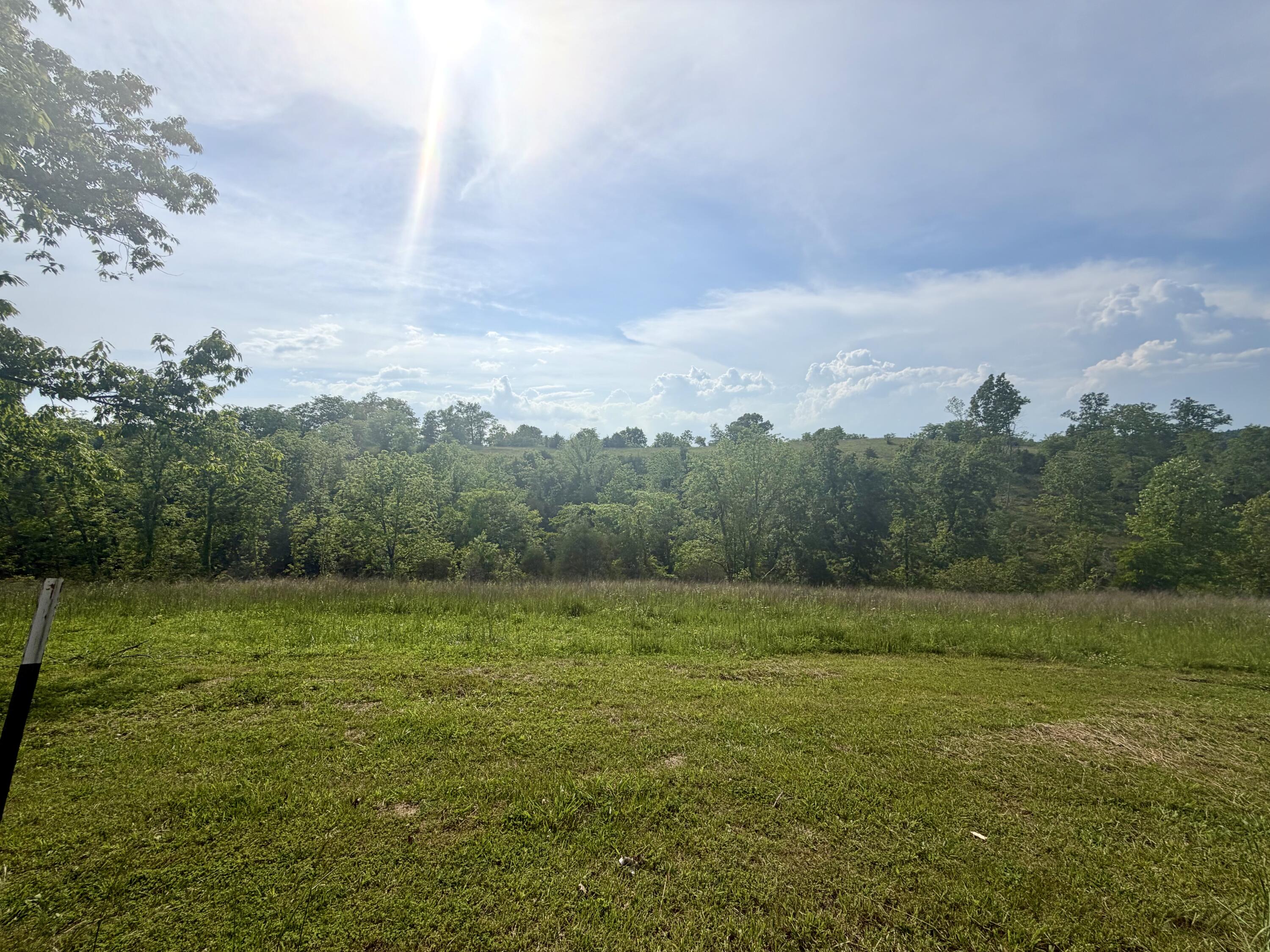 1050 Burgin Road Lawrenceburg, KY 40342 - Photo 8 of 45 IMG_3051