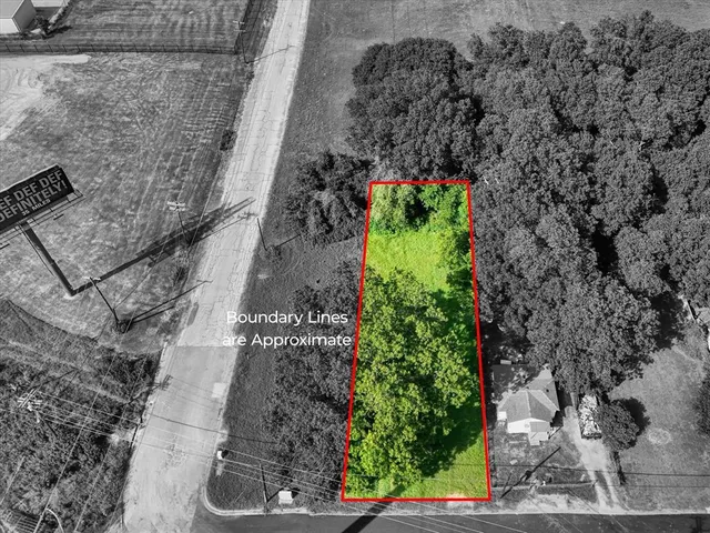 a plant with lots of plants and trees