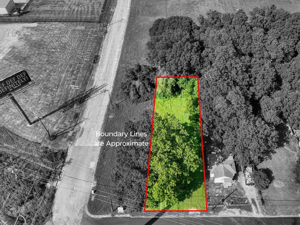 a plant with lots of plants and trees