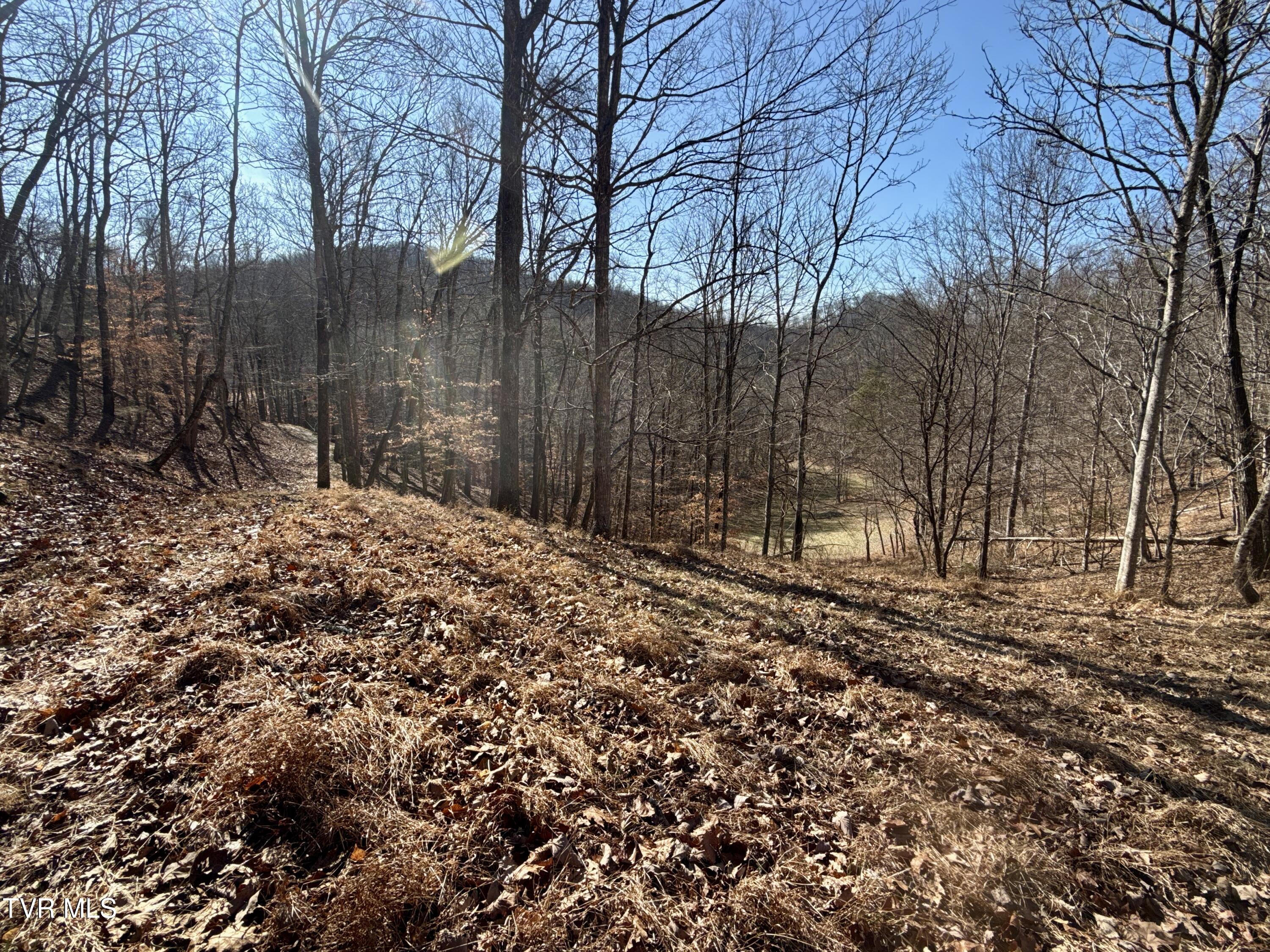 219 Ridge Road Eidson, TN 37731 - Photo 62 of 72 _Pic52 (11)