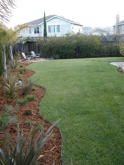 43 Montevideo Way San Rafael, CA 94903 - Photo 4 of 12 a view of a backyard