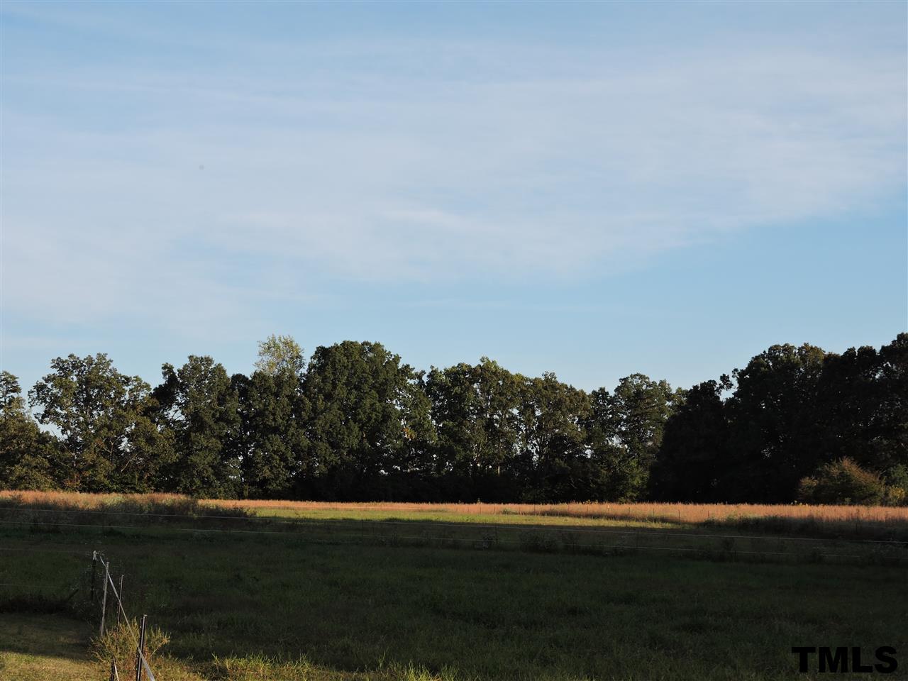 910 Antioch Church Road Timberlake, NC 27583 - Photo 22 of 22 a view of mountain with ocean view