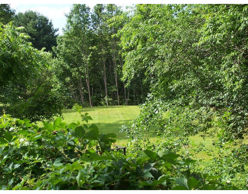 717 Main Street Boxford, MA 01921 - Photo 9 of 9 a view of a field with a tree
