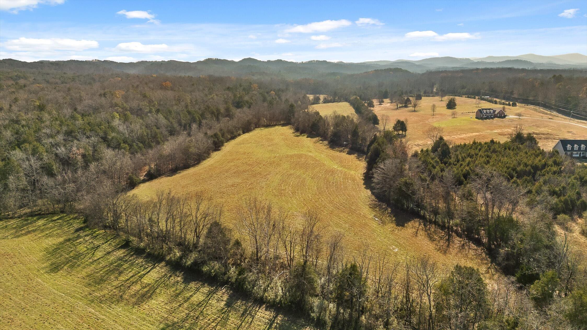 0 Brock Road Chickamauga, GA 30707 - Photo 12 of 15 Back pasture bordered by woodland