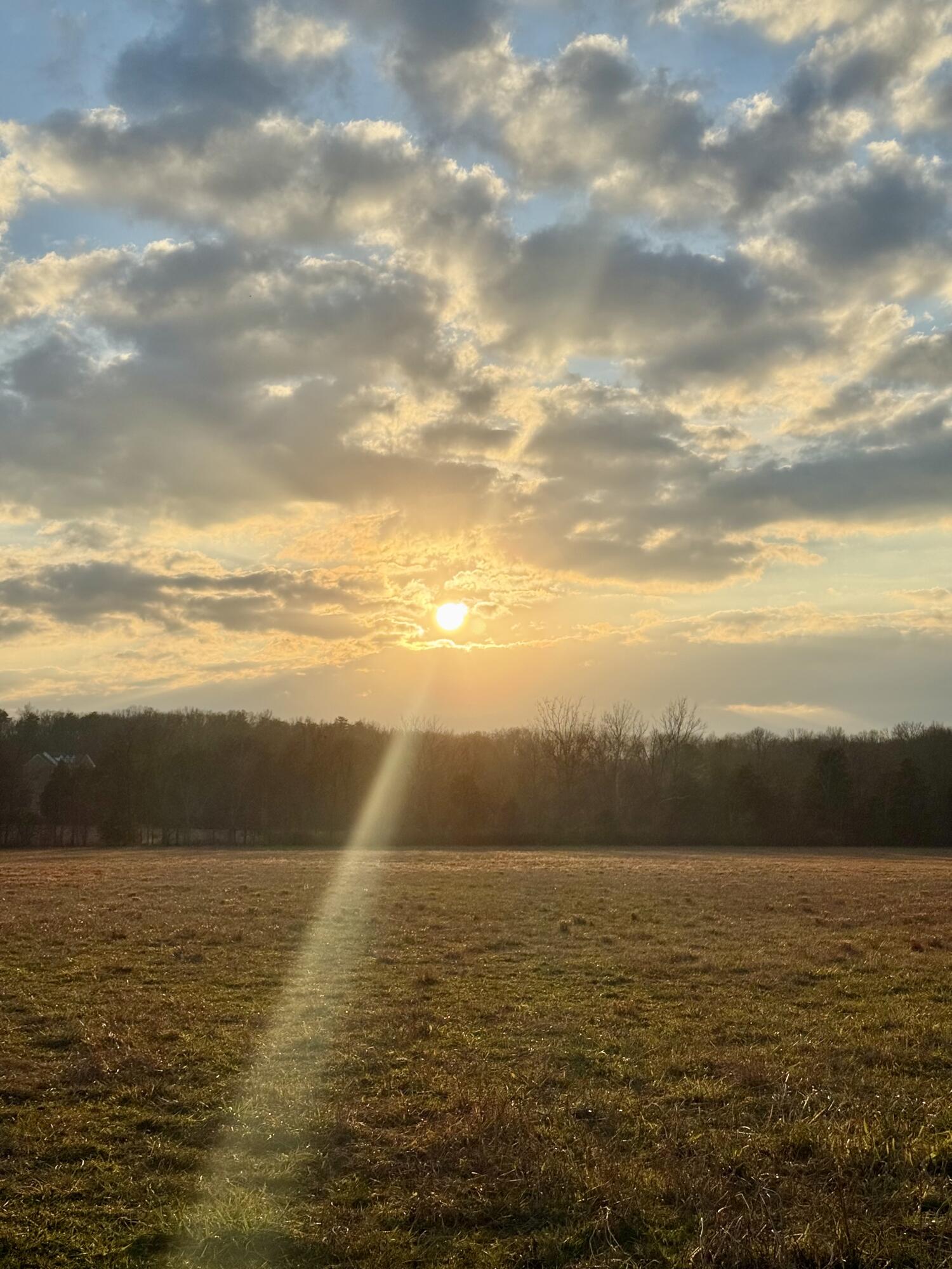 0 Brock Road Chickamauga, GA 30707 - Photo 14 of 15 Sunset on the farm