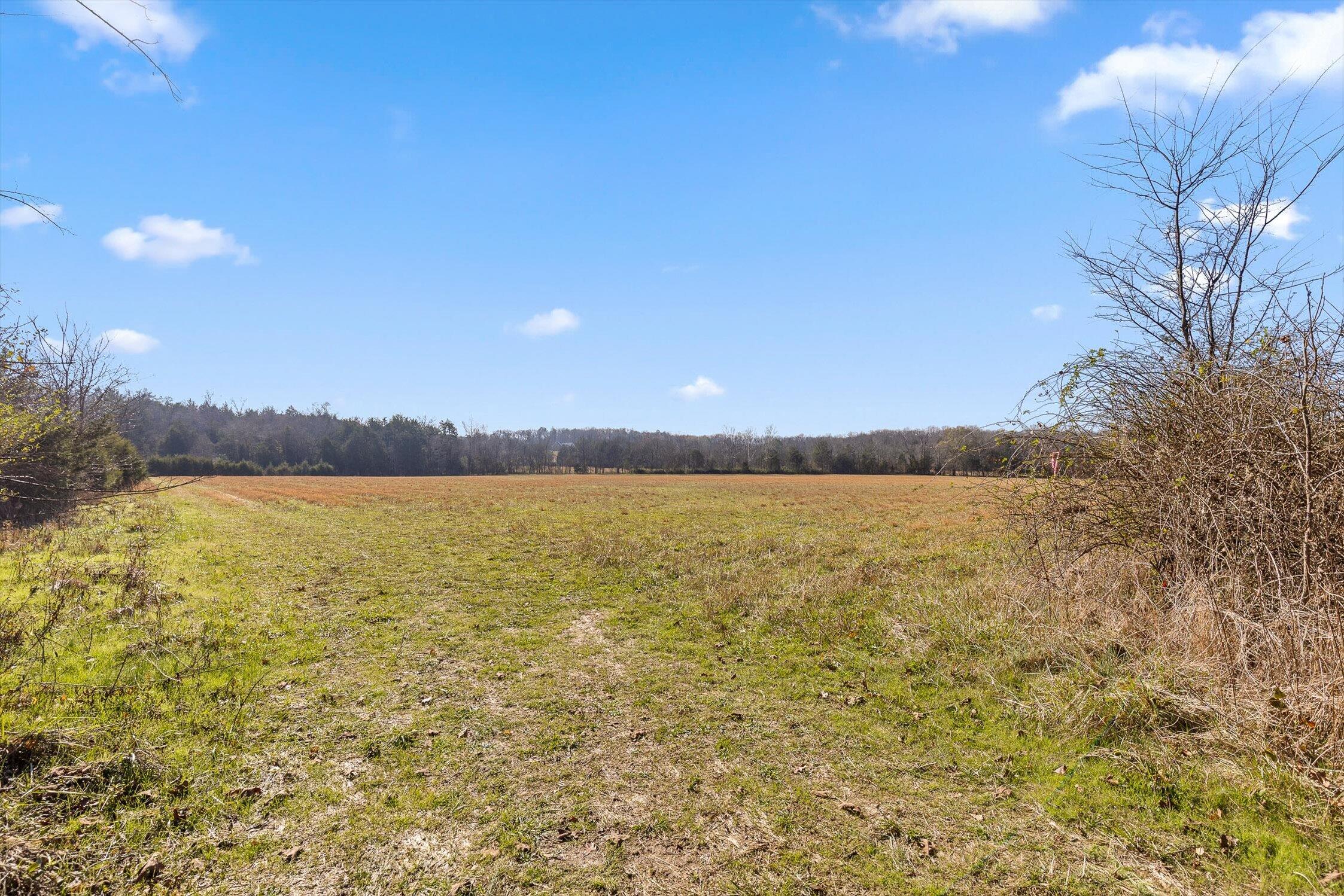 0 Brock Road Chickamauga, GA 30707 - Photo 3 of 15 Entrance to the listed parcel