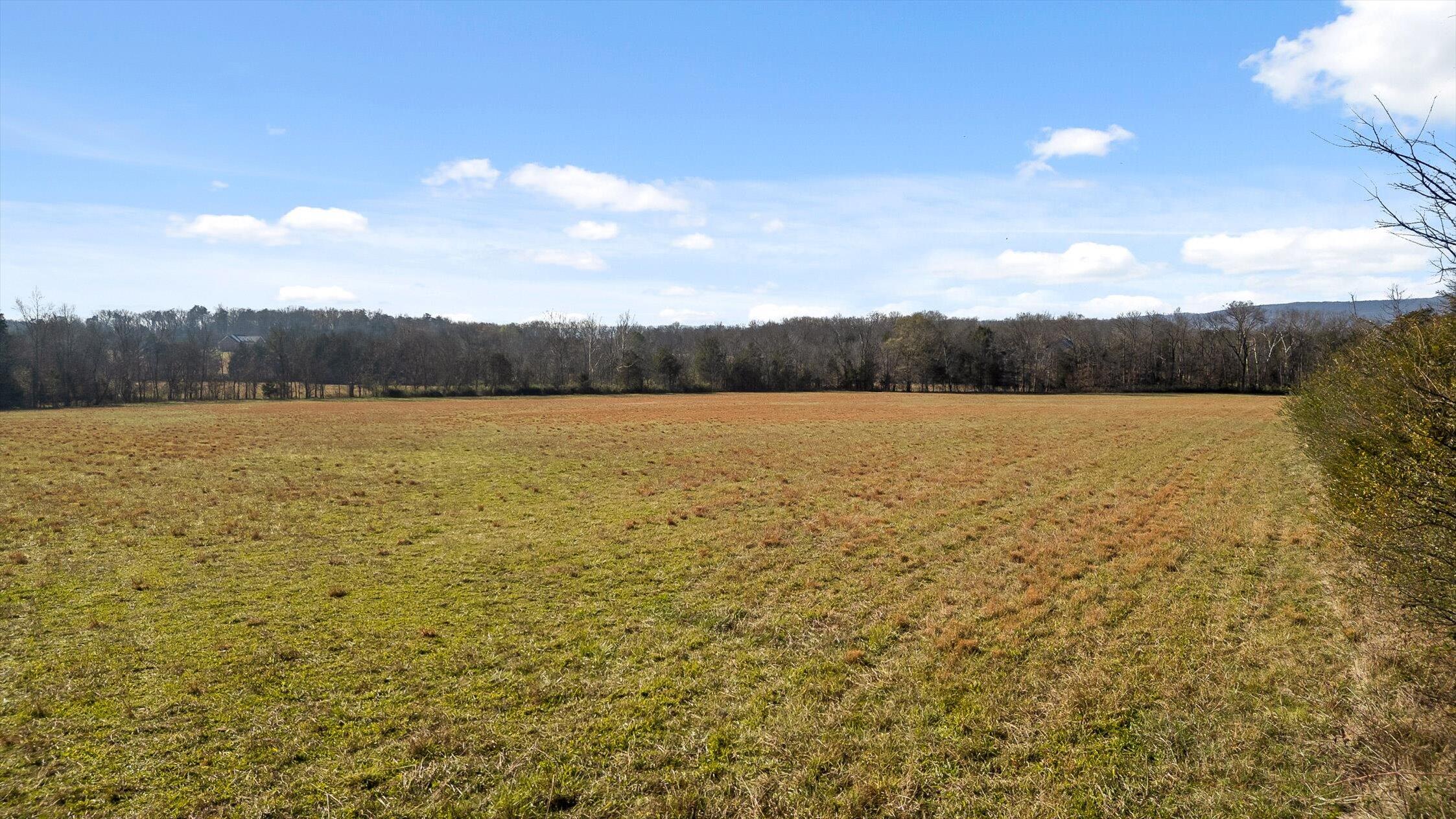 0 Brock Road Chickamauga, GA 30707 - Photo 5 of 15 Flat and mostly in pasture