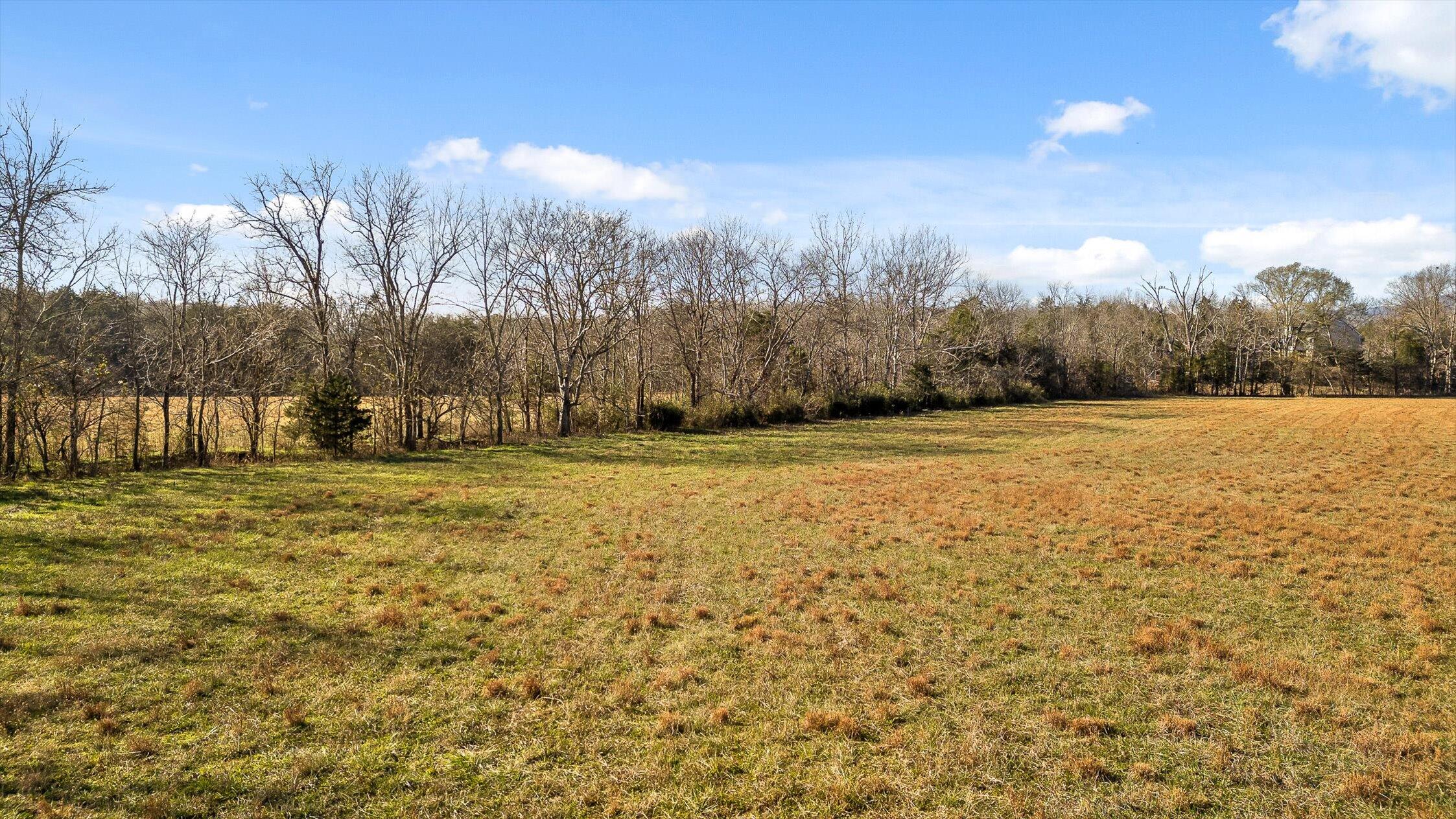 0 Brock Road Chickamauga, GA 30707 - Photo 7 of 15 Trees growing along creek bank