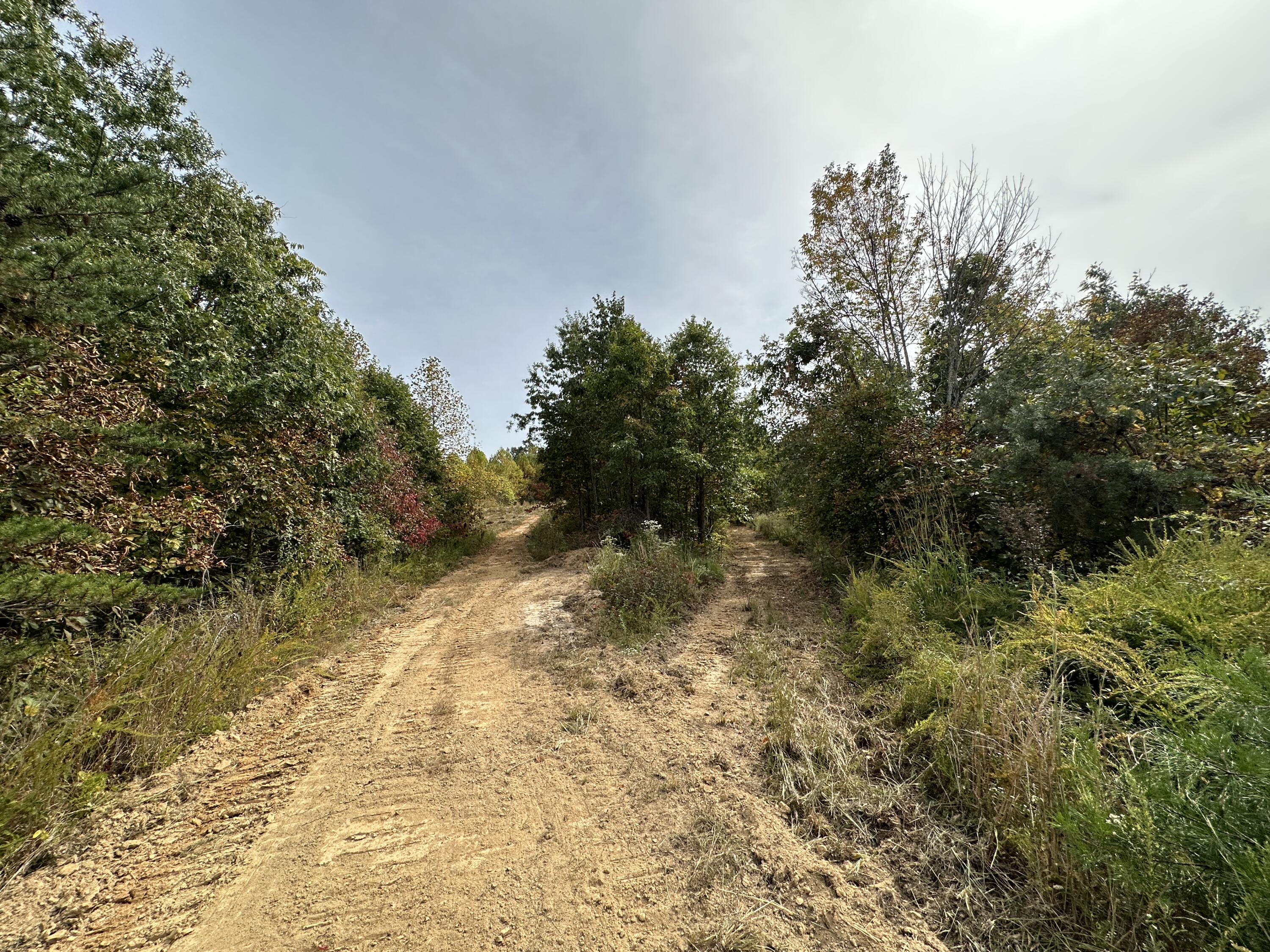 3 Williams Creek Road Rush, KY 41168 - Photo 4 of 27 3