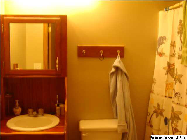 1044 Story Road Woodstock, AL 35188 - Photo 20 of 32