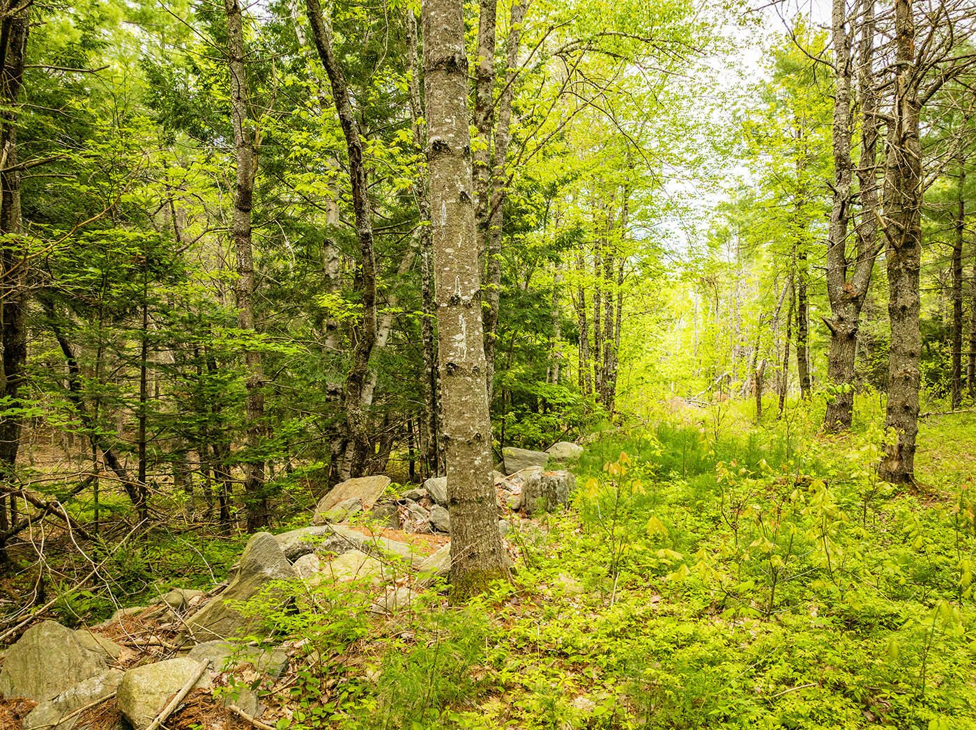 572 Old County Road Washington, ME 04574 - Photo 16 of 32 DJI_0230