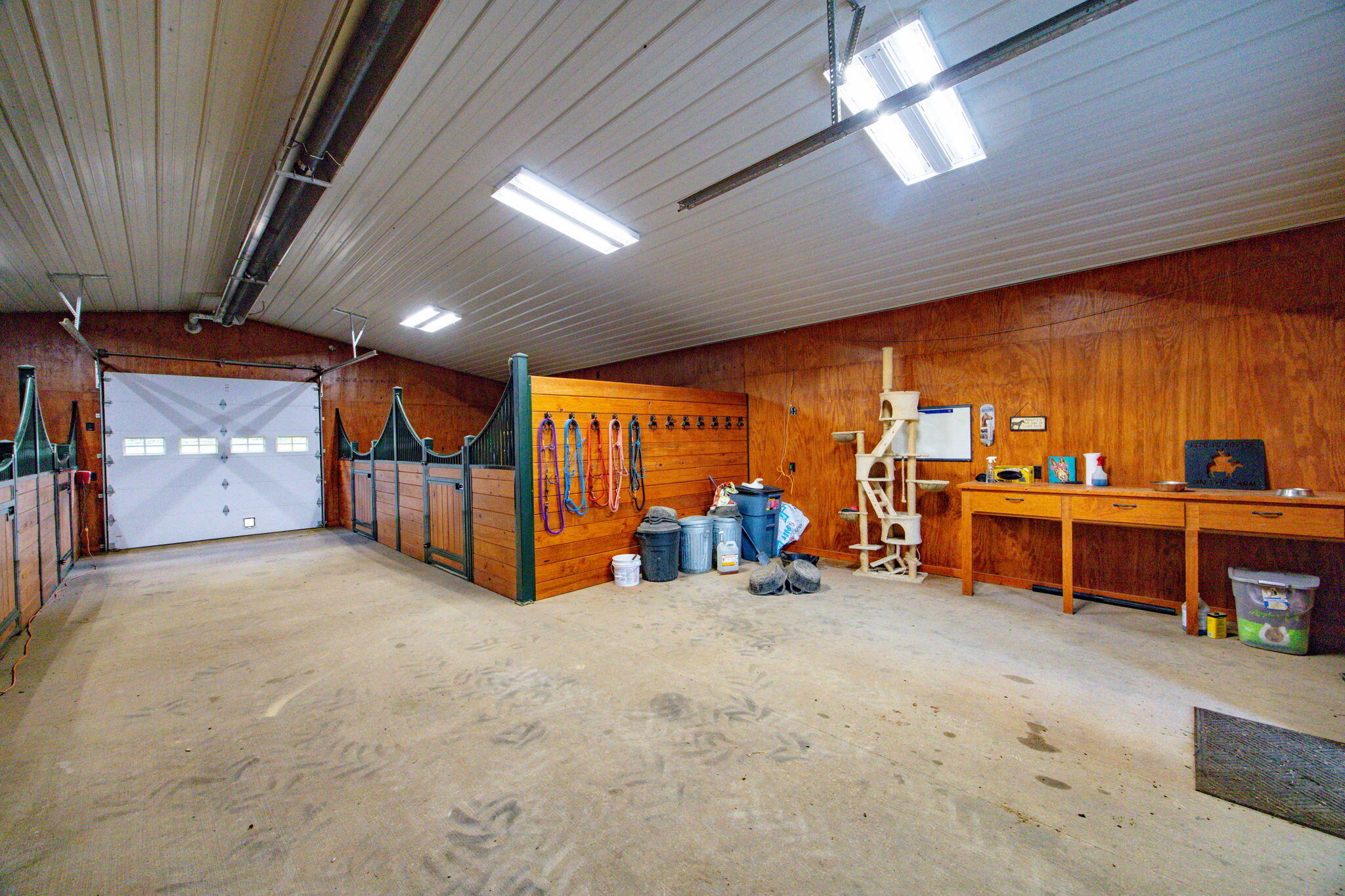 N158 Tamarack Road Eagle, WI 53119 - Photo 78 of 87 144-web-or-mls-IMG-2088